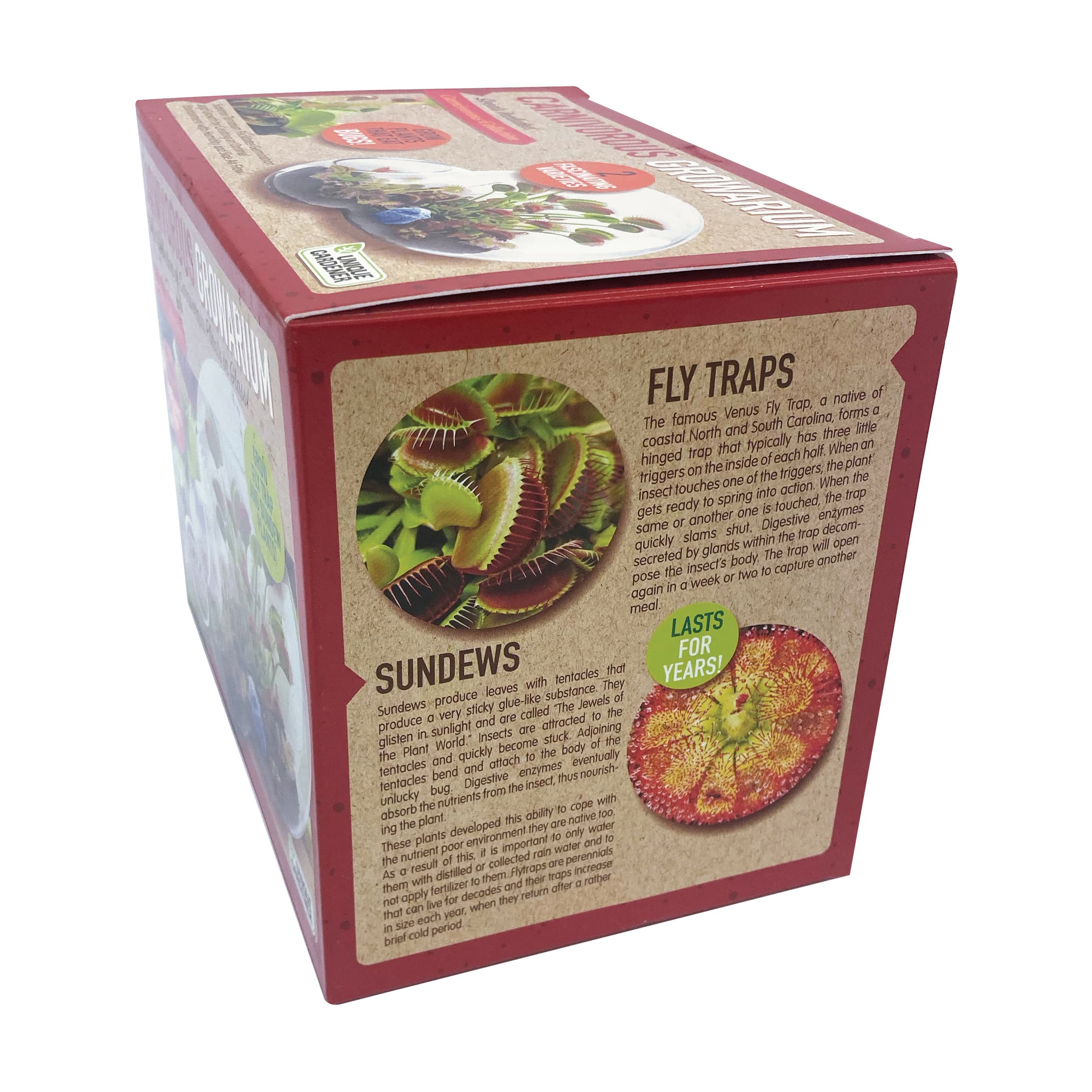 Double Sphere Glass Terrarium - Carnivorous Growarium