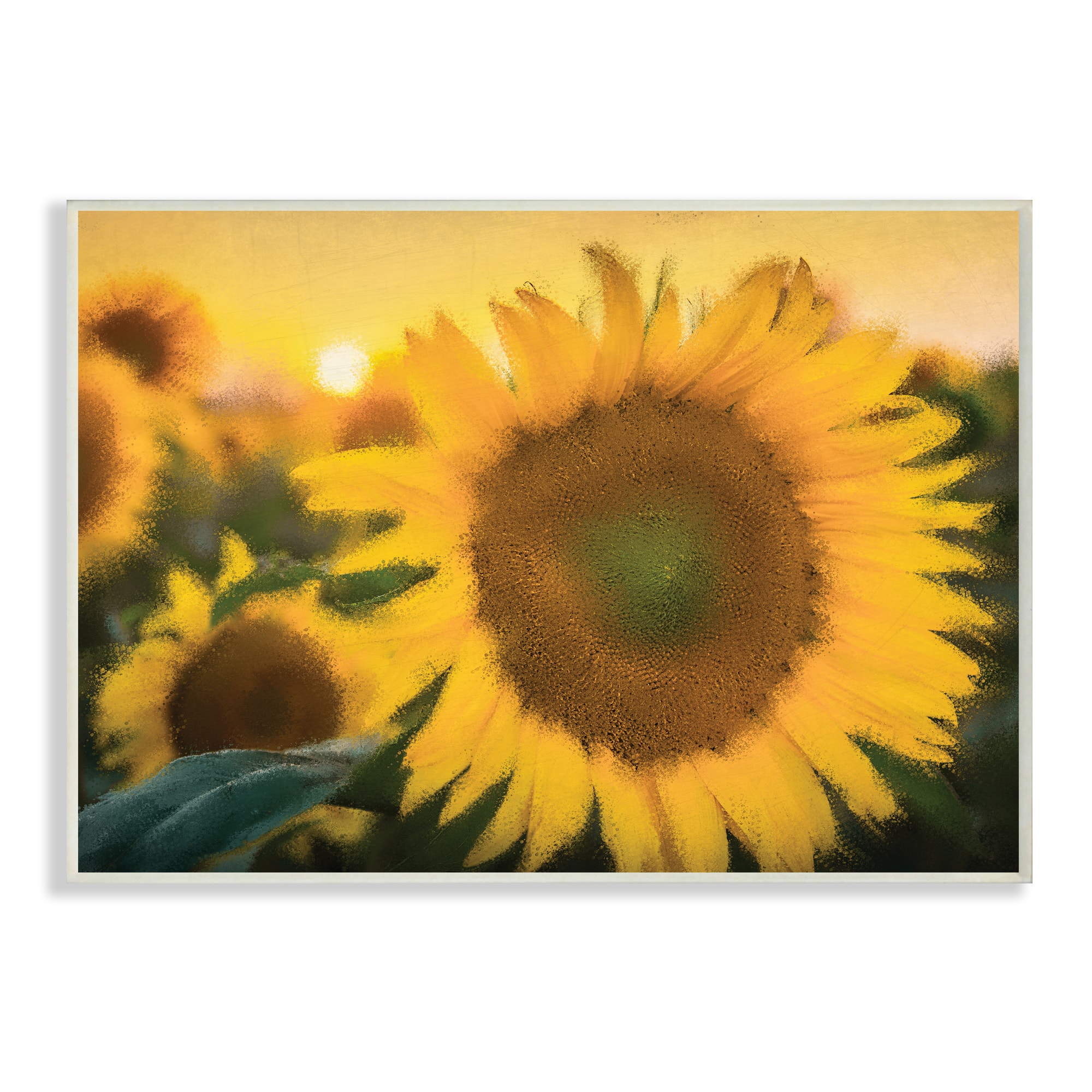 Stupell Industries Realistic Soft Edges Sunflower Field Sunrise Wall Art