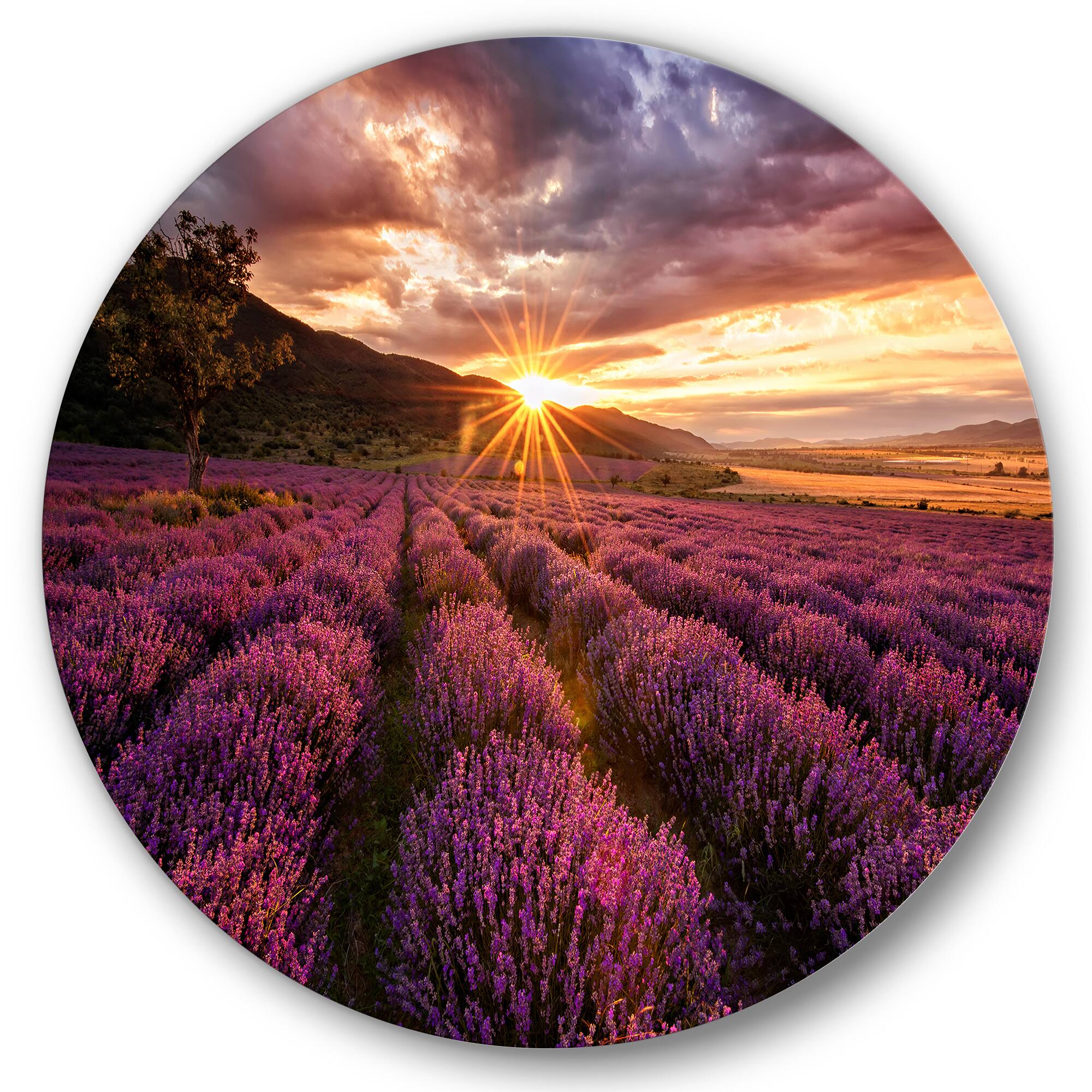 Designart - Sunrise & Dramatic Clouds Over Lavender Field IV - Farmhouse Metal Circle Wall Art