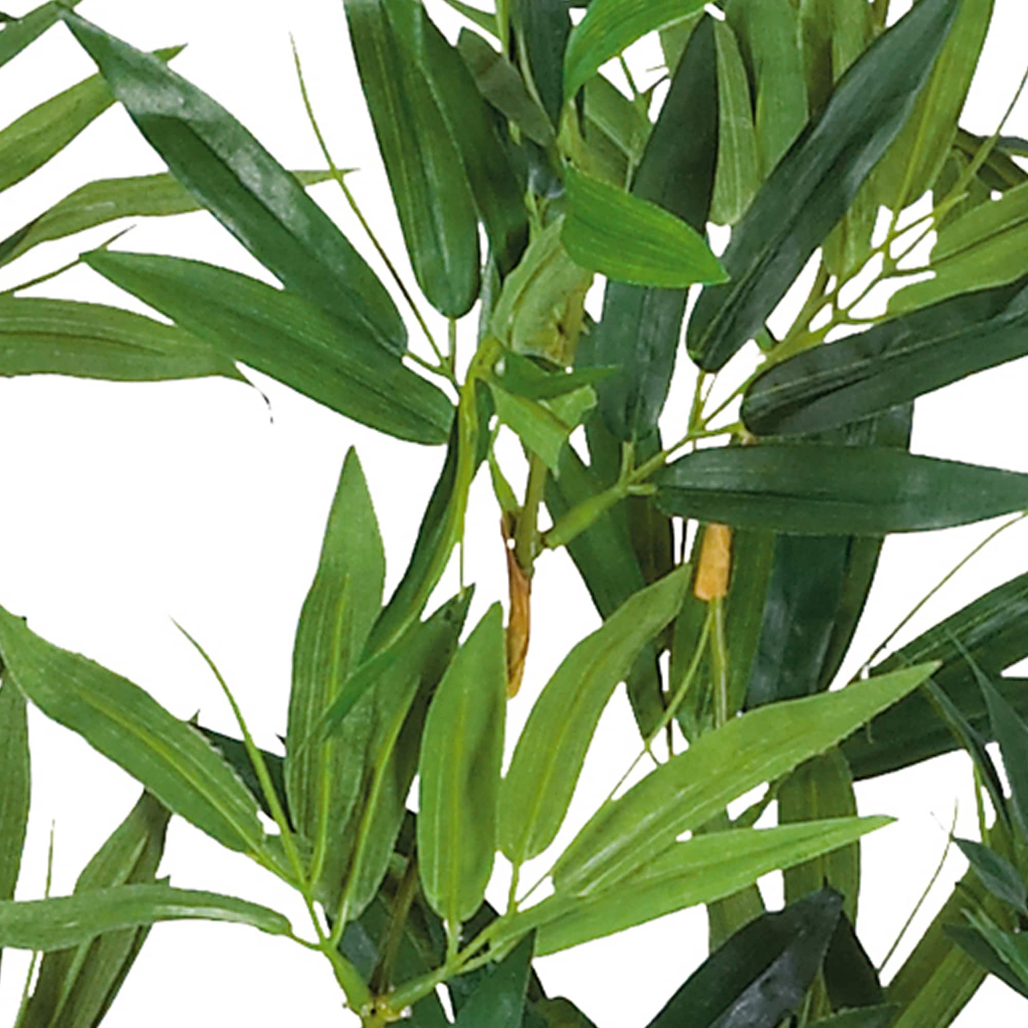 4ft. Potted Bamboo Plant
