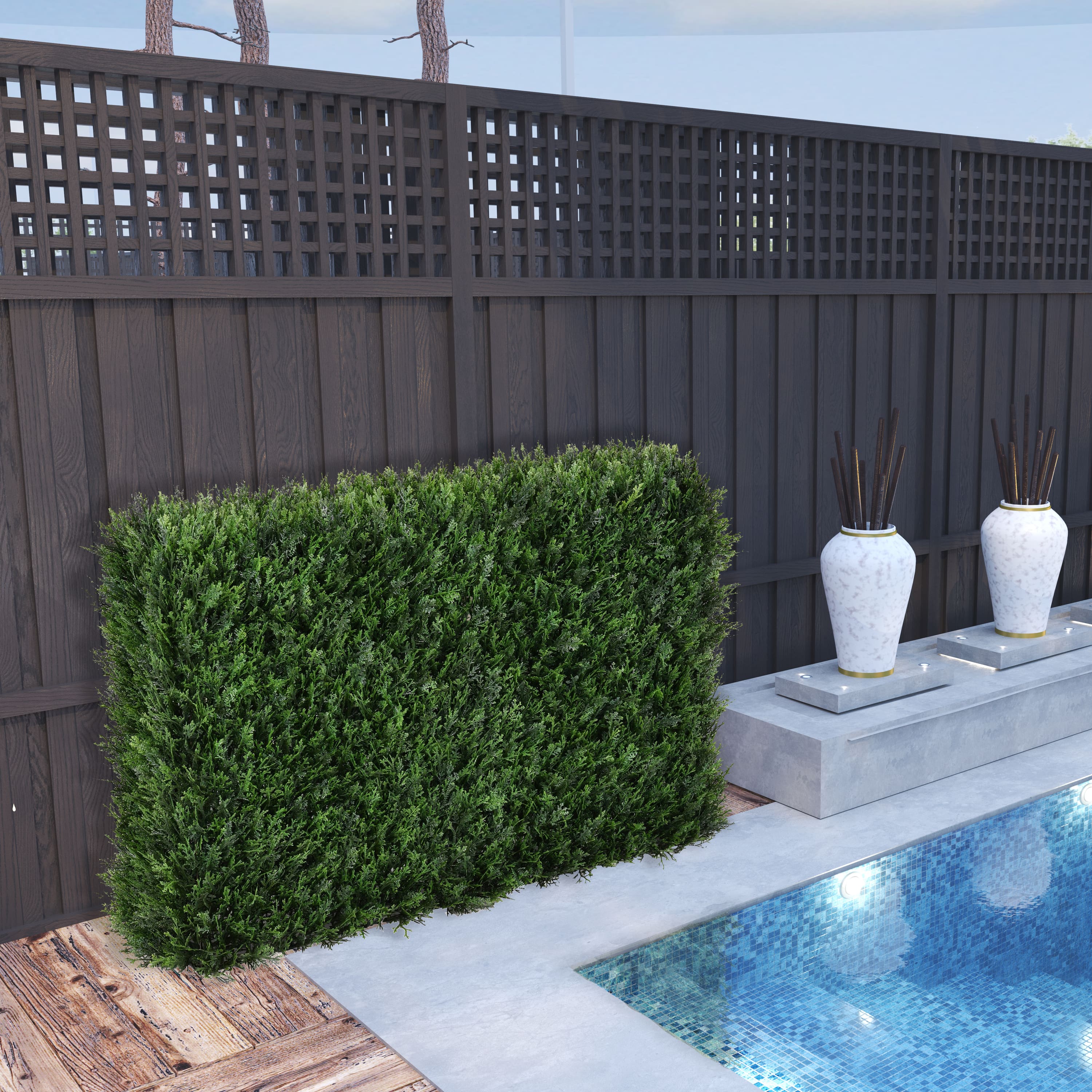 6ft. Cedar Hedge