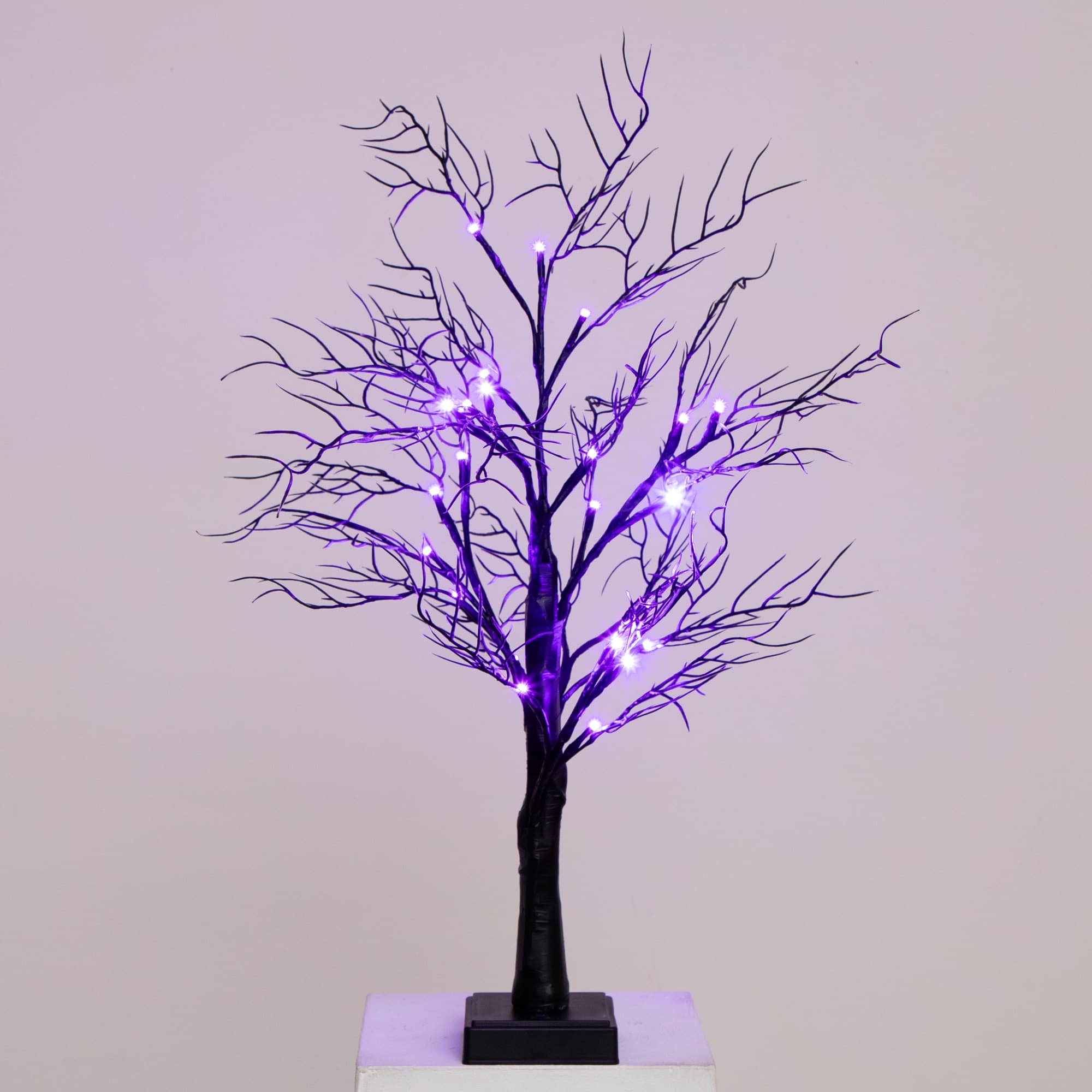 2ft. Pre-Lit LED Deluxe Black Twig Artificial Halloween Tree