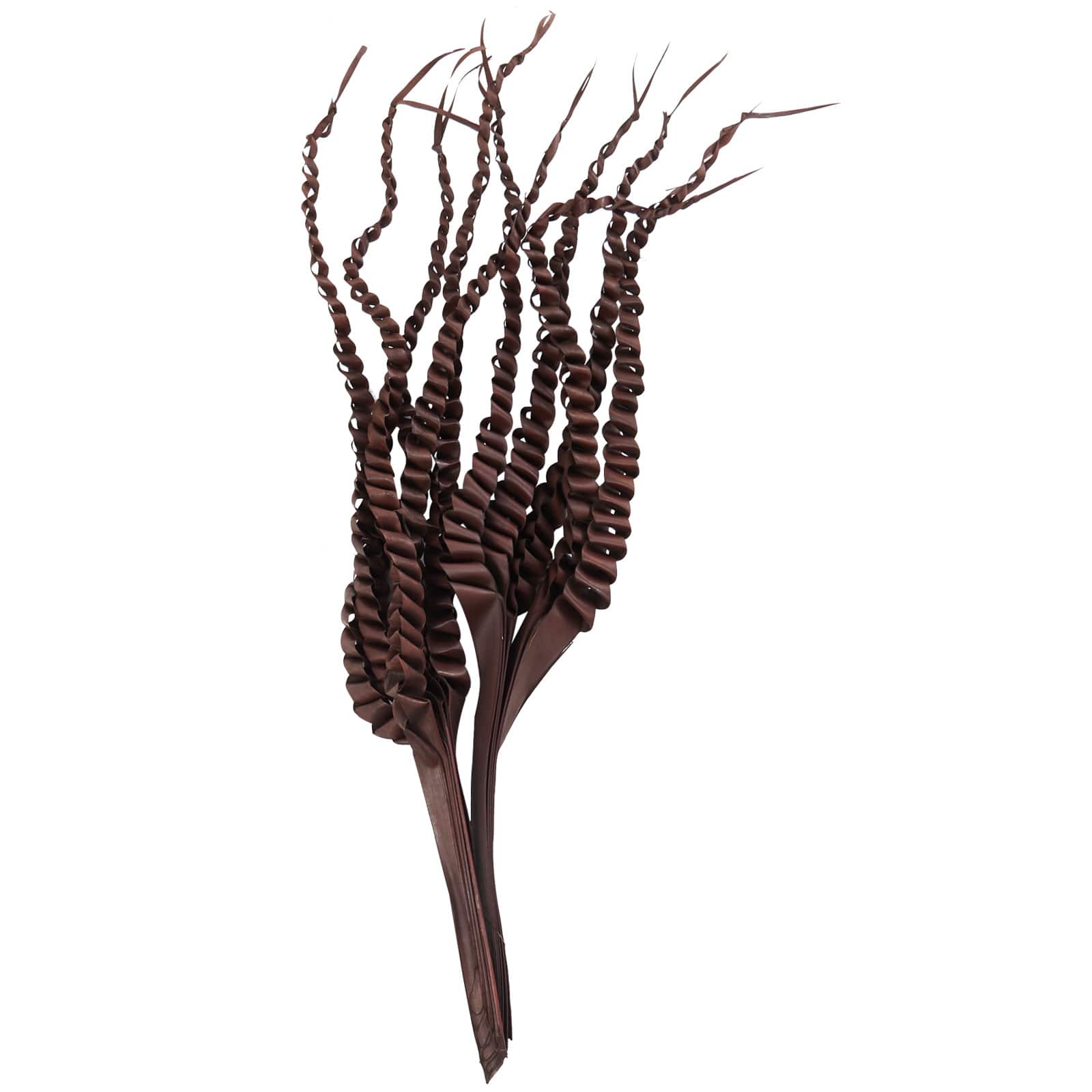 30" Dark Brown Dried Plant Palm Leaf Natural Foliage