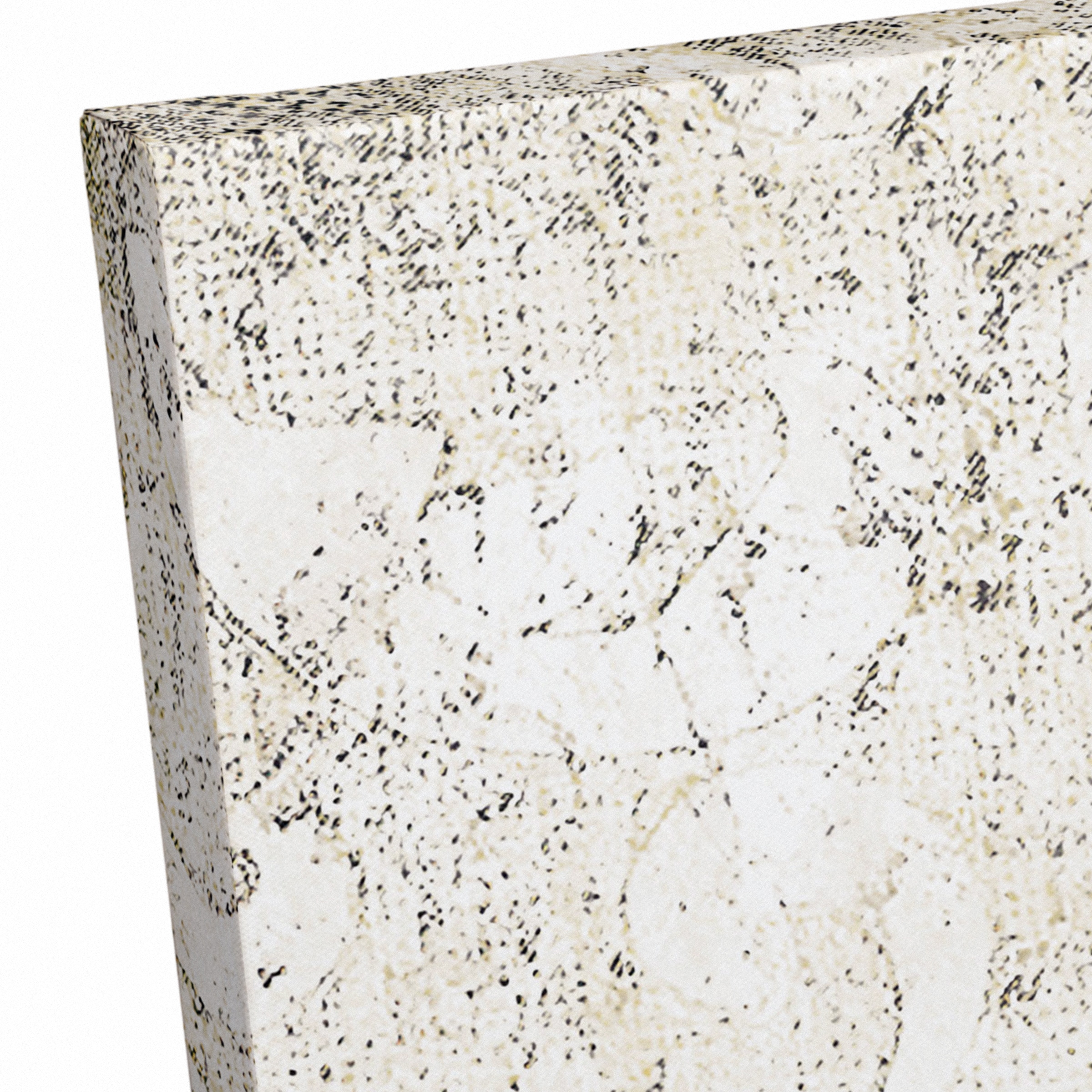 Apothecary Spot 2 24" x 30" Canvas Wall Art