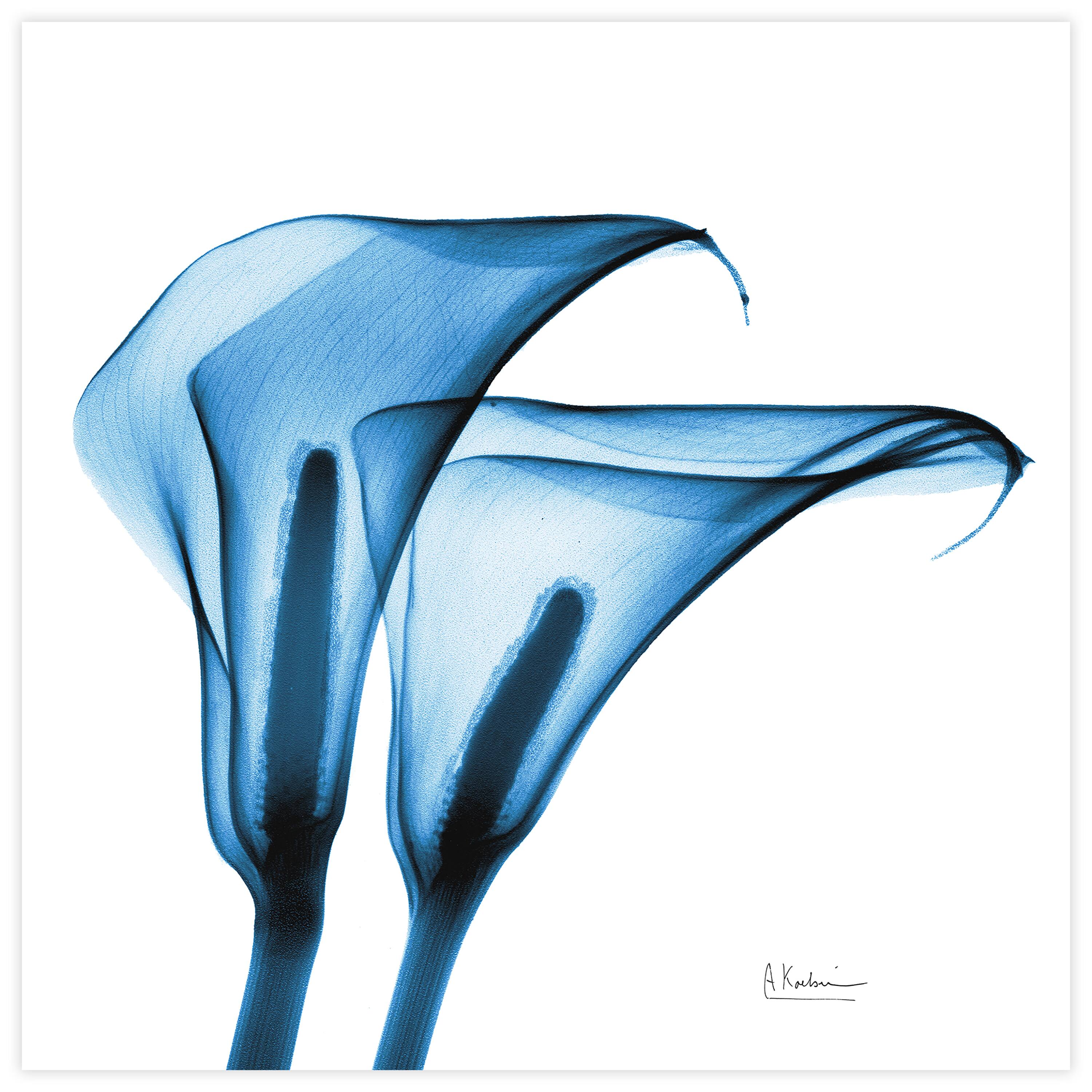 Empire Art Direct 24" x 24" Indigo Calla Lilies Free Floating Tempered Glass Wall Art