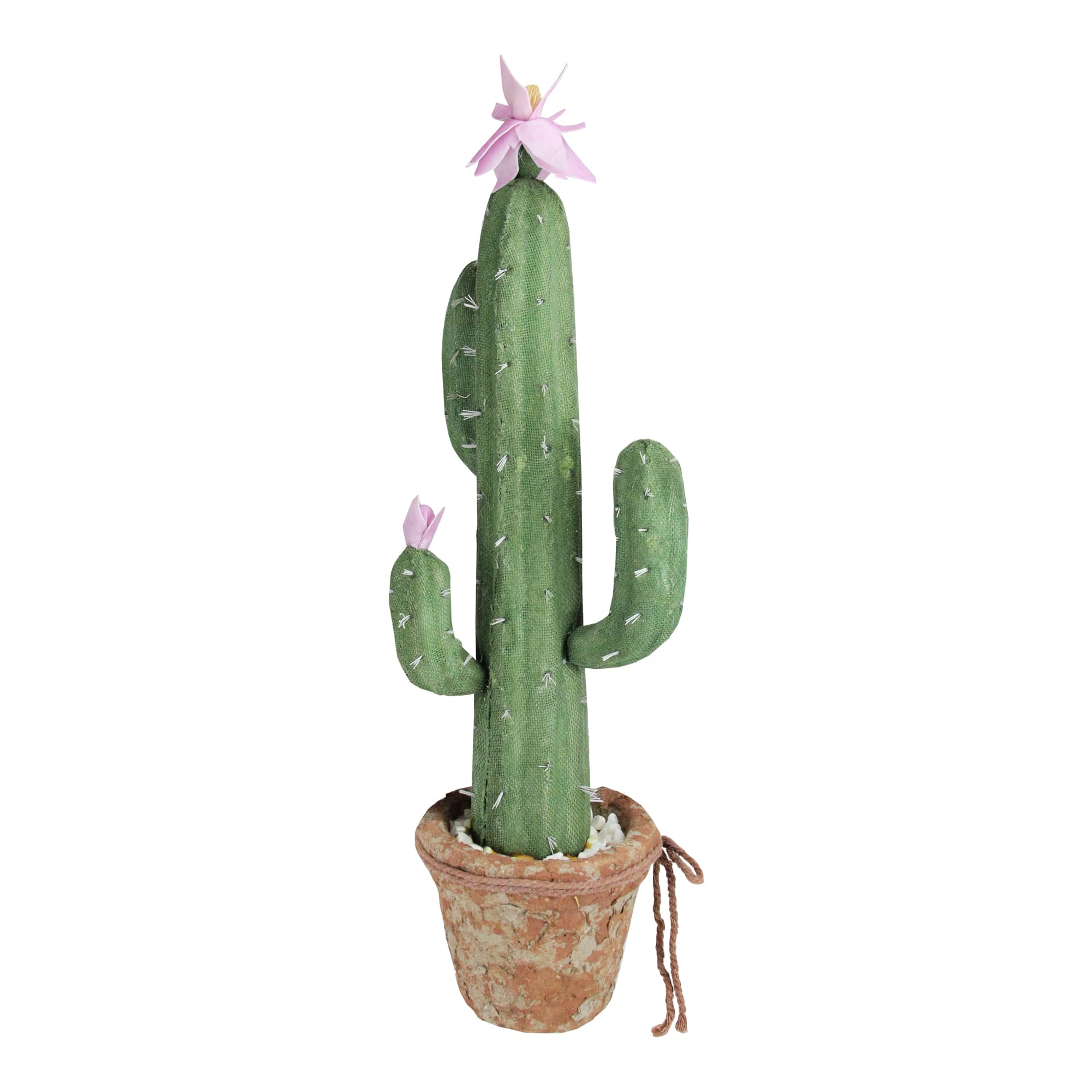 21.5" Southwestern Style Potted Cactus with Flowers