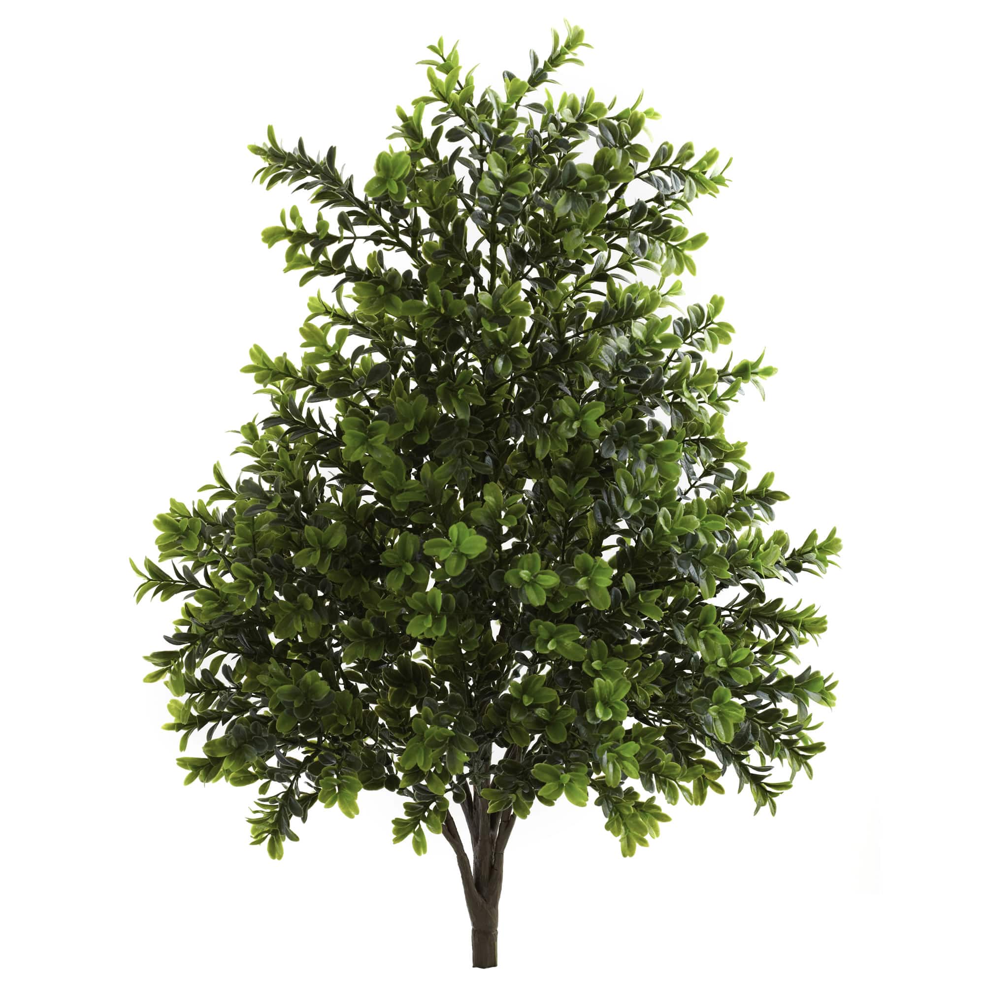 23" Sweet Grass Bush, 2ct.
