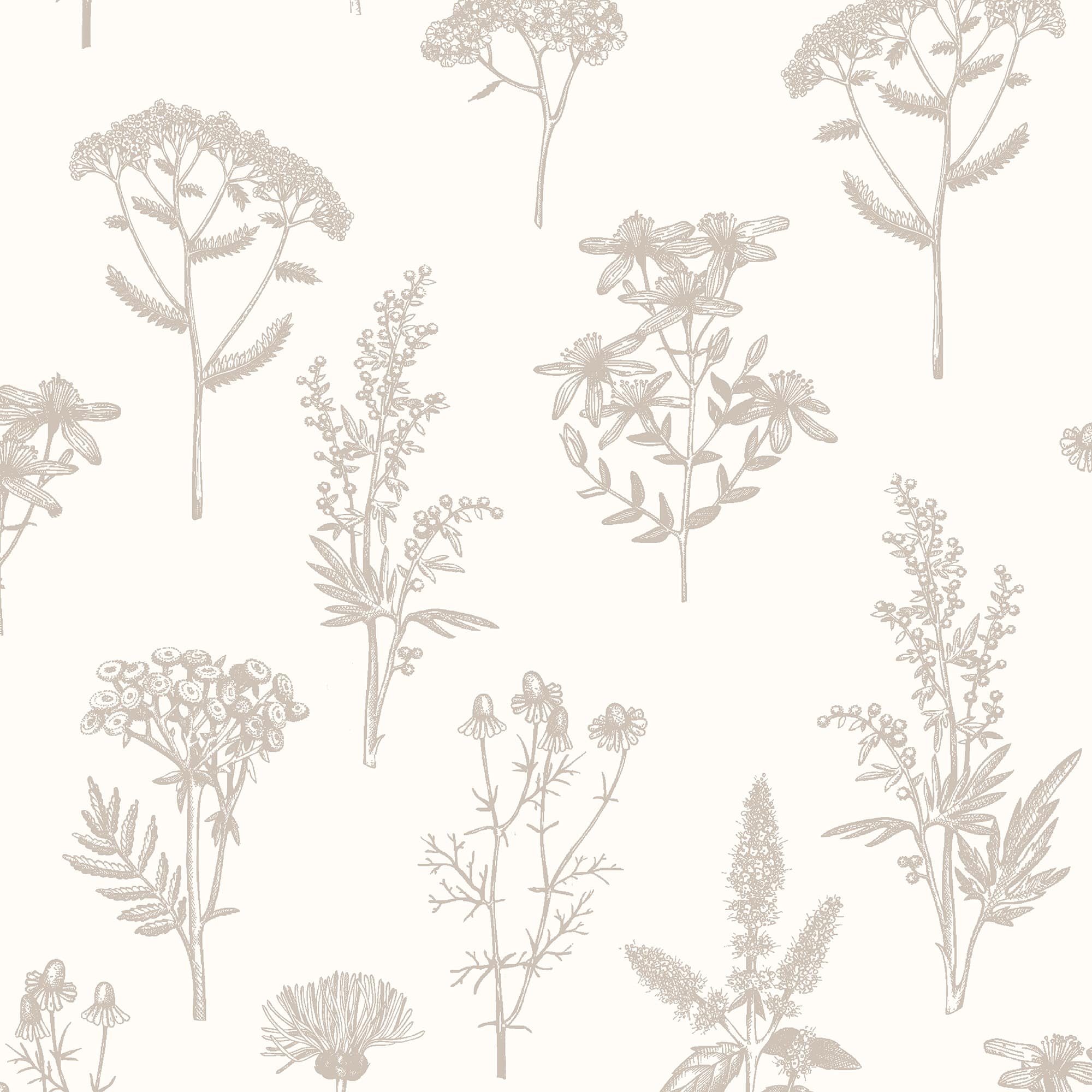 Designs Direct Luminous Botanical Sketch Metallic Wallpaper