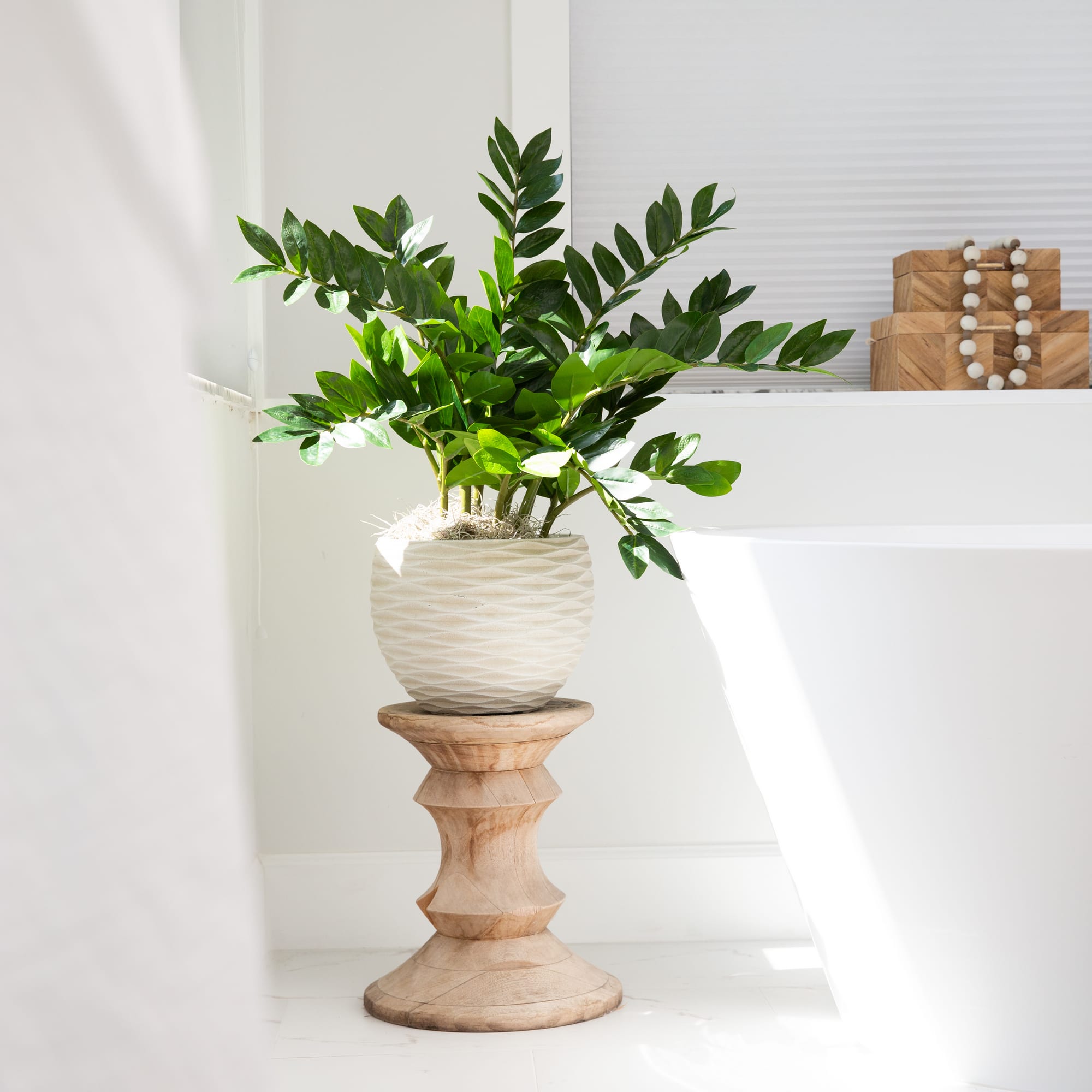 28" Artificial Zamioculcas Plant with Decorative Planter