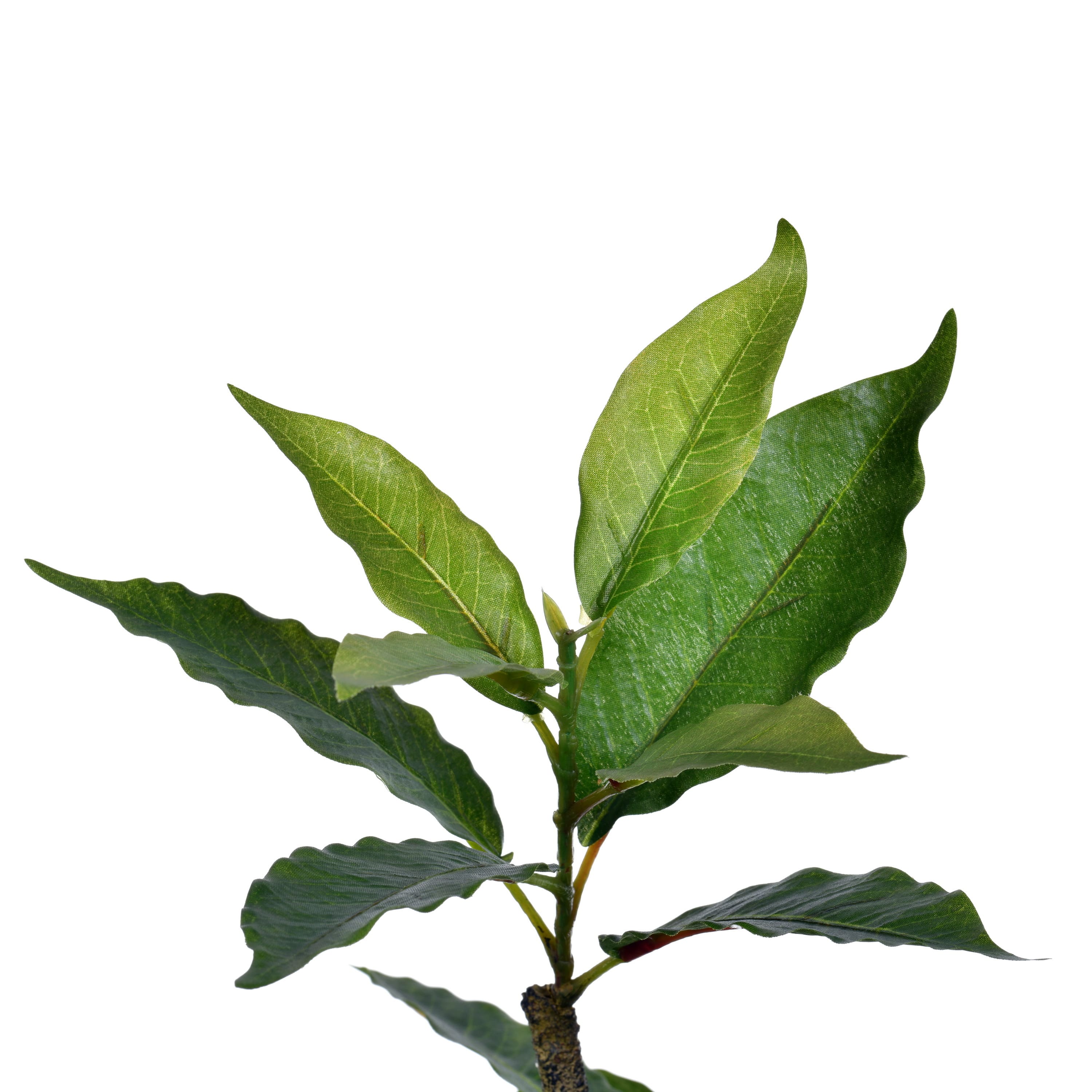 5ft. Potted Artificial Green Nandina Tree