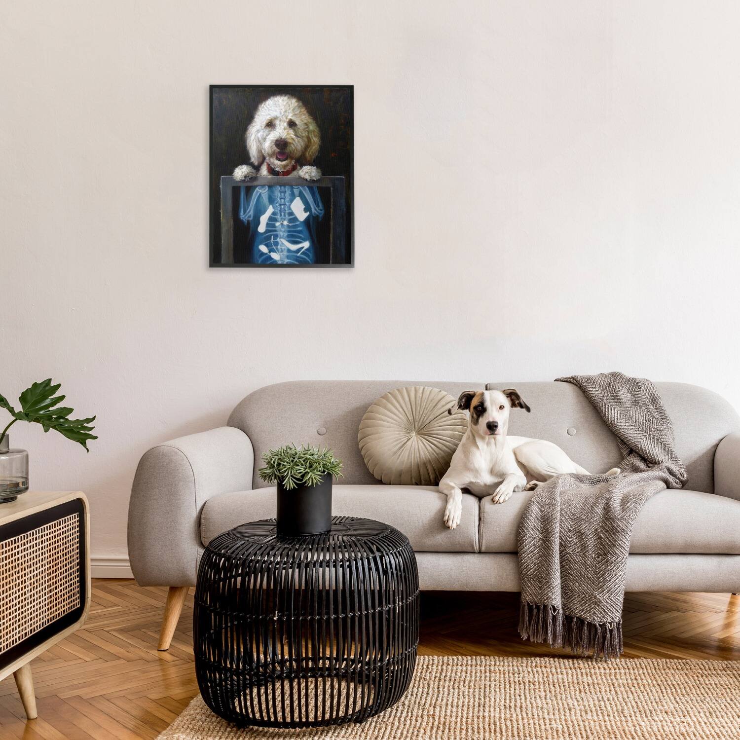 Stupell Industries Funny Dog X-Ray Snacks Framed Giclee Art