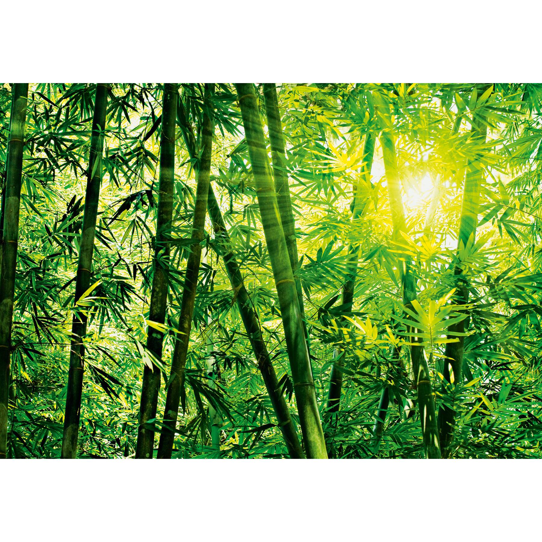 Ideal Decor Bamboo Forest Wall Mural