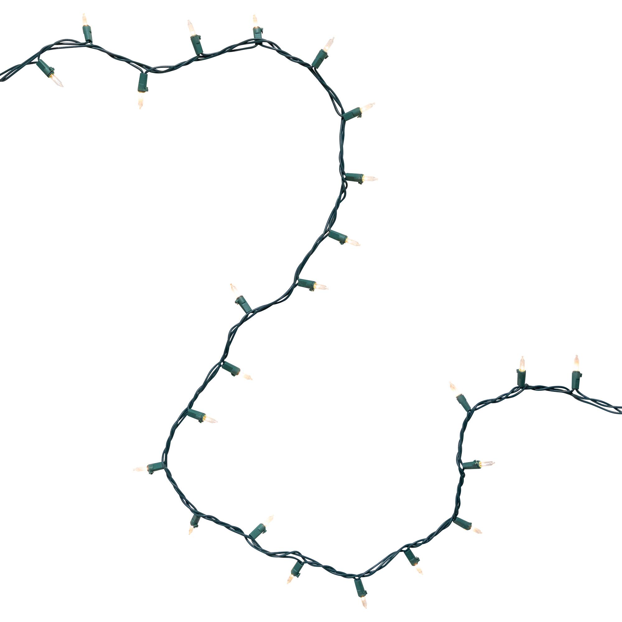 20ct. Clear Mini Christmas String Lights with Green Wire