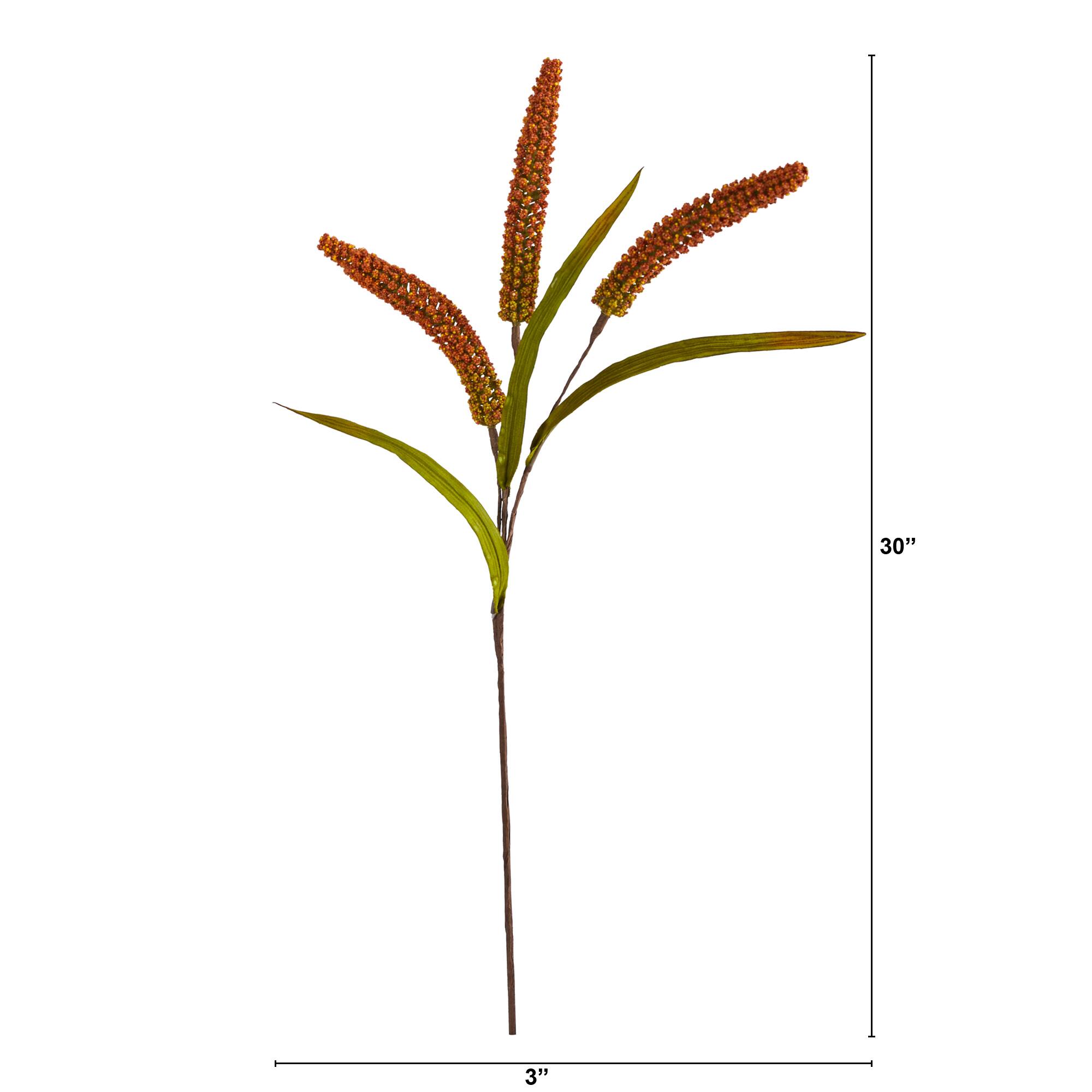 30" Orange Sorghum Harvest Spray, 12ct.