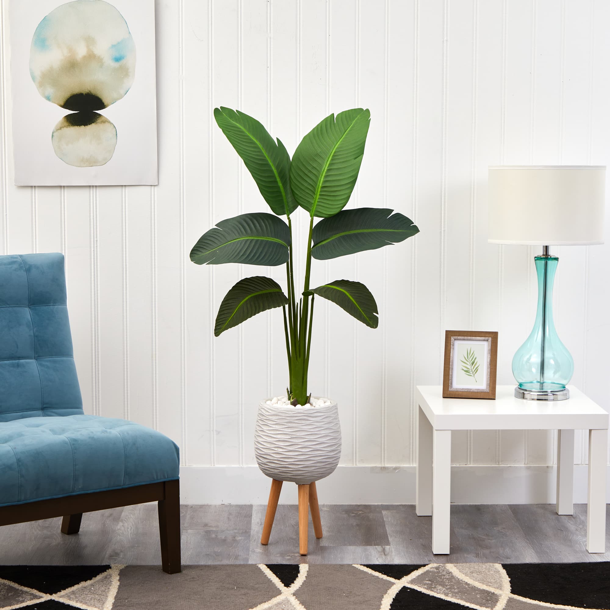 5ft. Travelers Palm Plant in White Planter with Stand