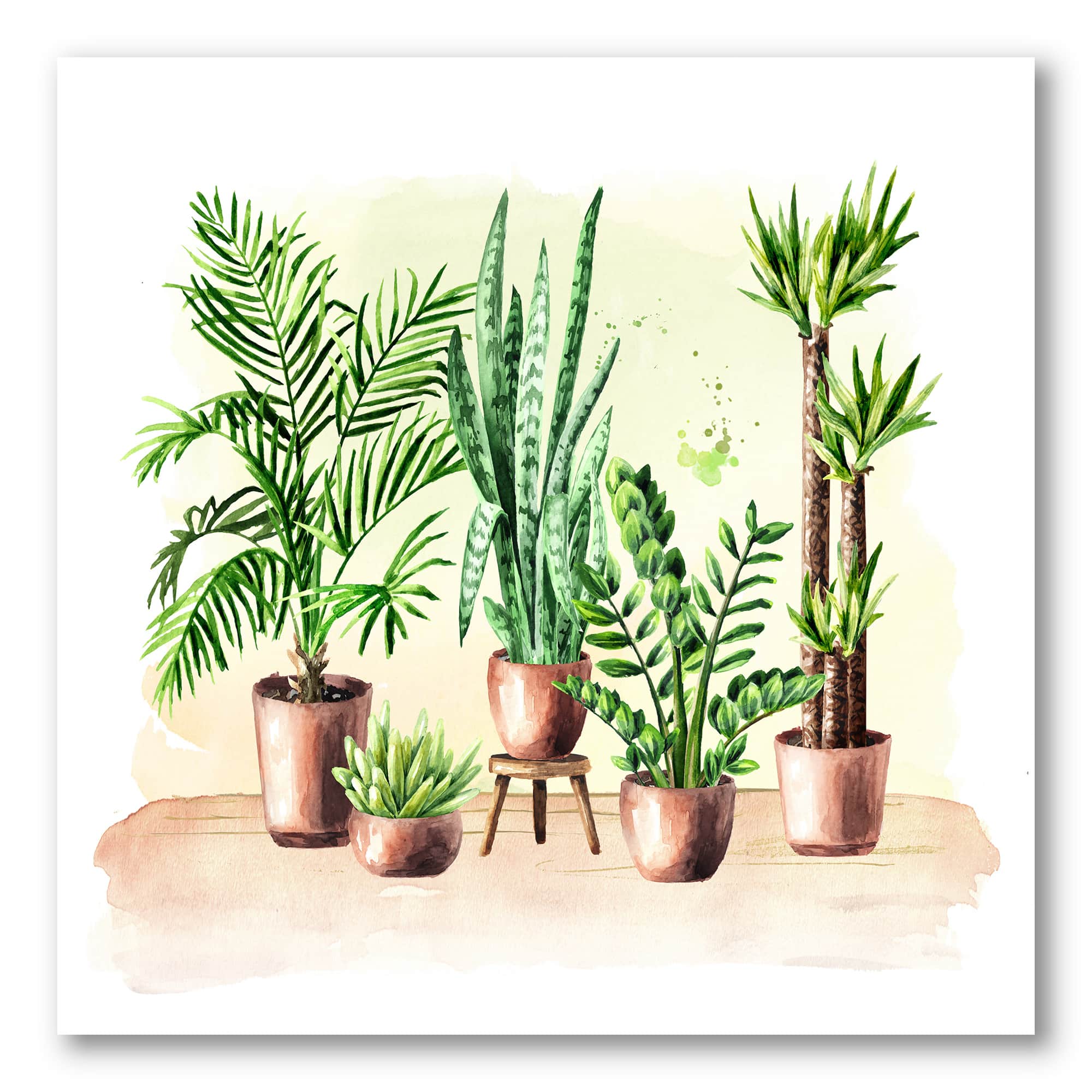 Designart - Indoor Green Home House Plants I