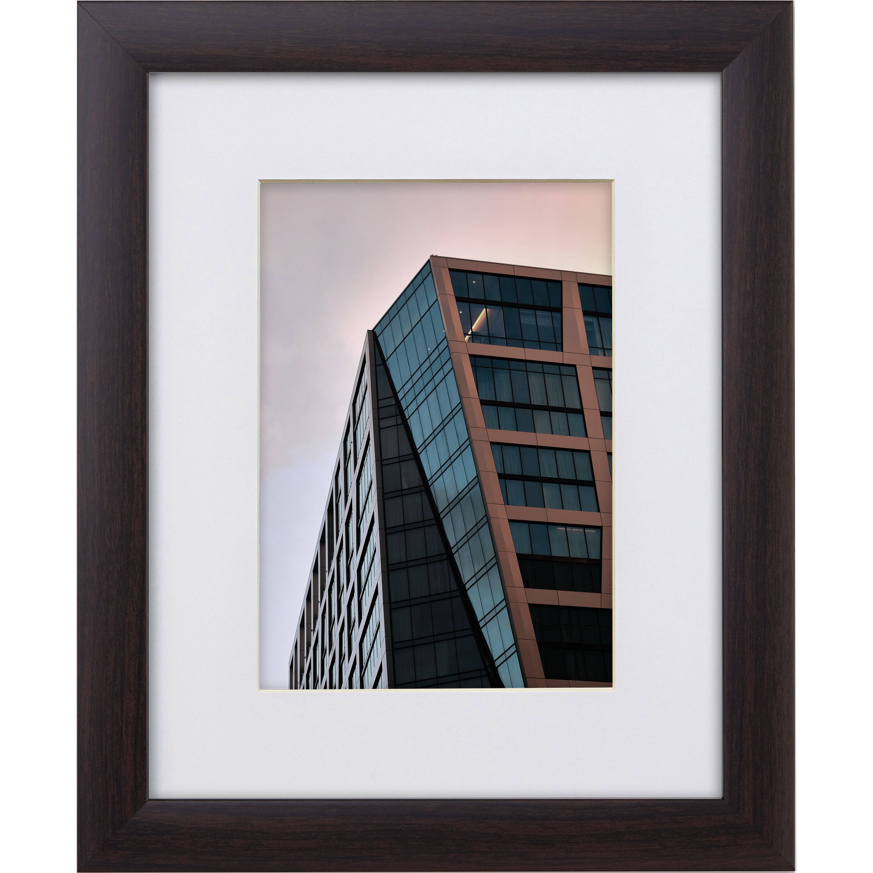 Craig Frames 4 Pack: Contemporary Brazilian Walnut Picture Frame with Mat