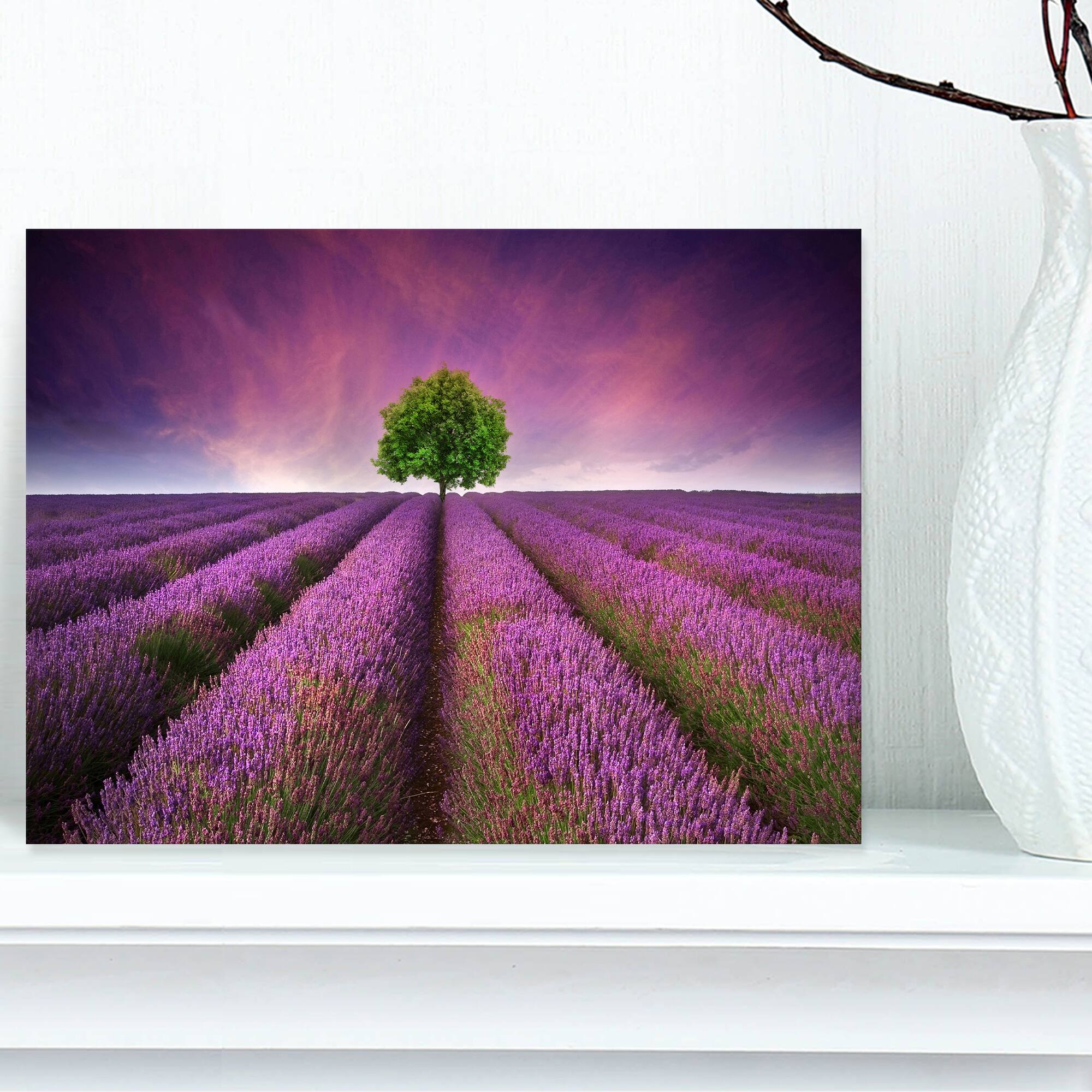 Designart - Lavender Field Sunset with Single Tree