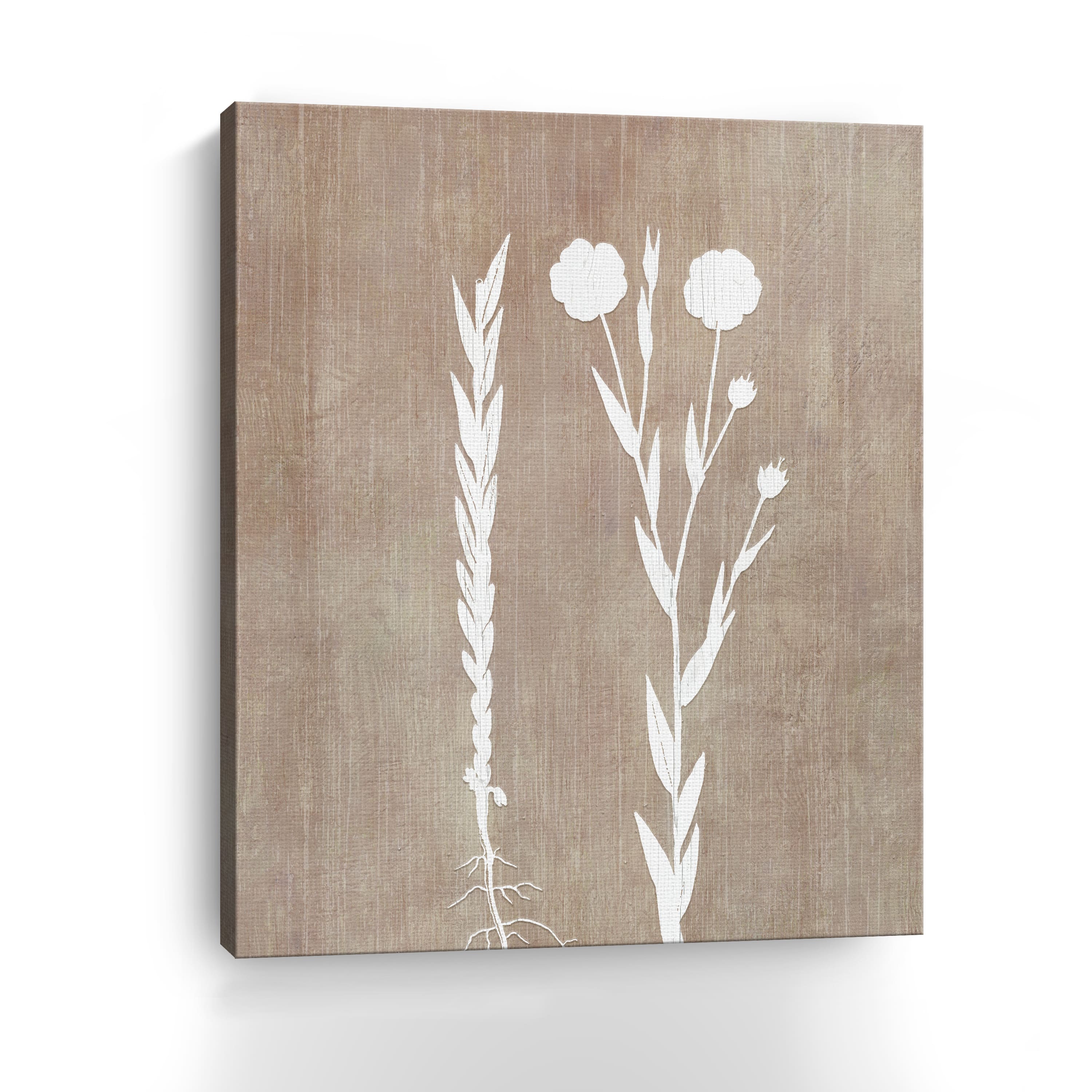Botany Beauty III Canvas Giclee
