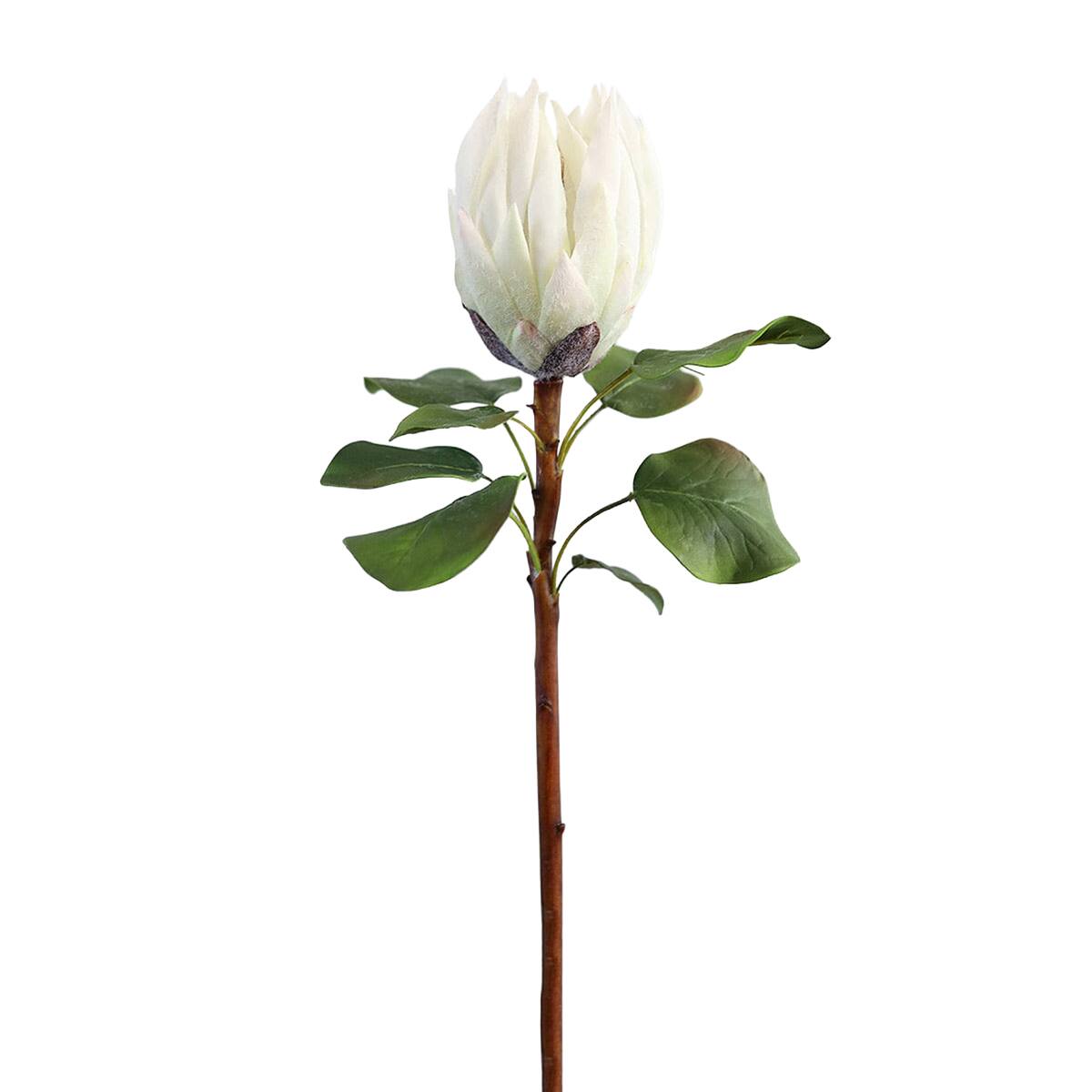 Prestige Botanicals 23.5" Artificial King Protea Stem