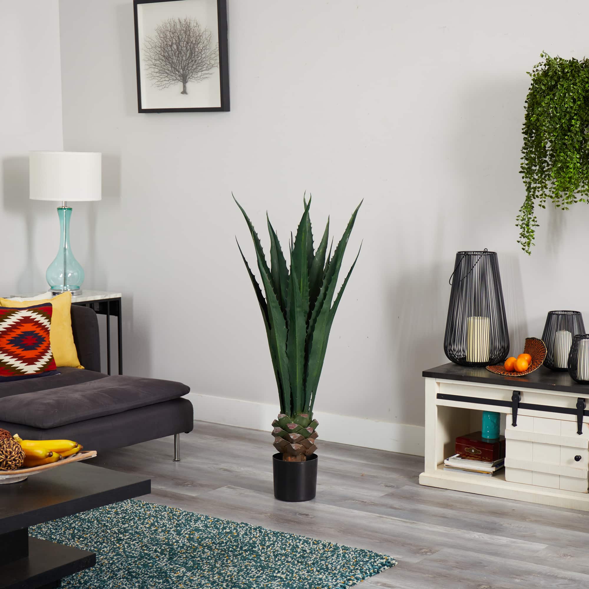 4.5ft. Potted Giant Agave Plant
