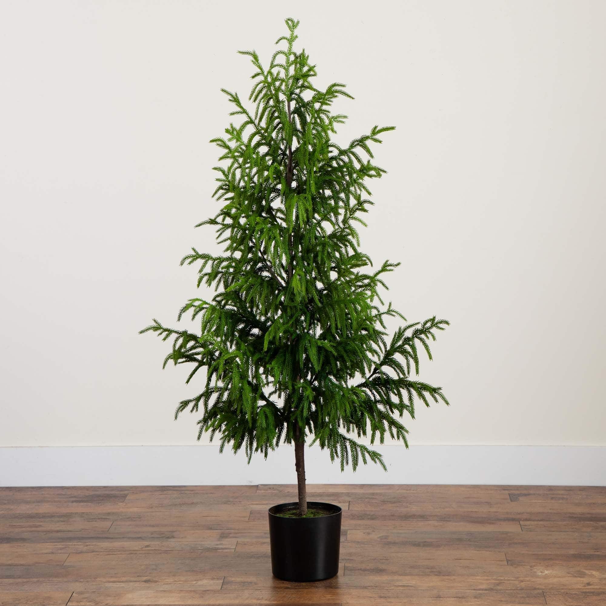 5ft. Unlit Norfolk Pine Artificial Potted Christmas Tree