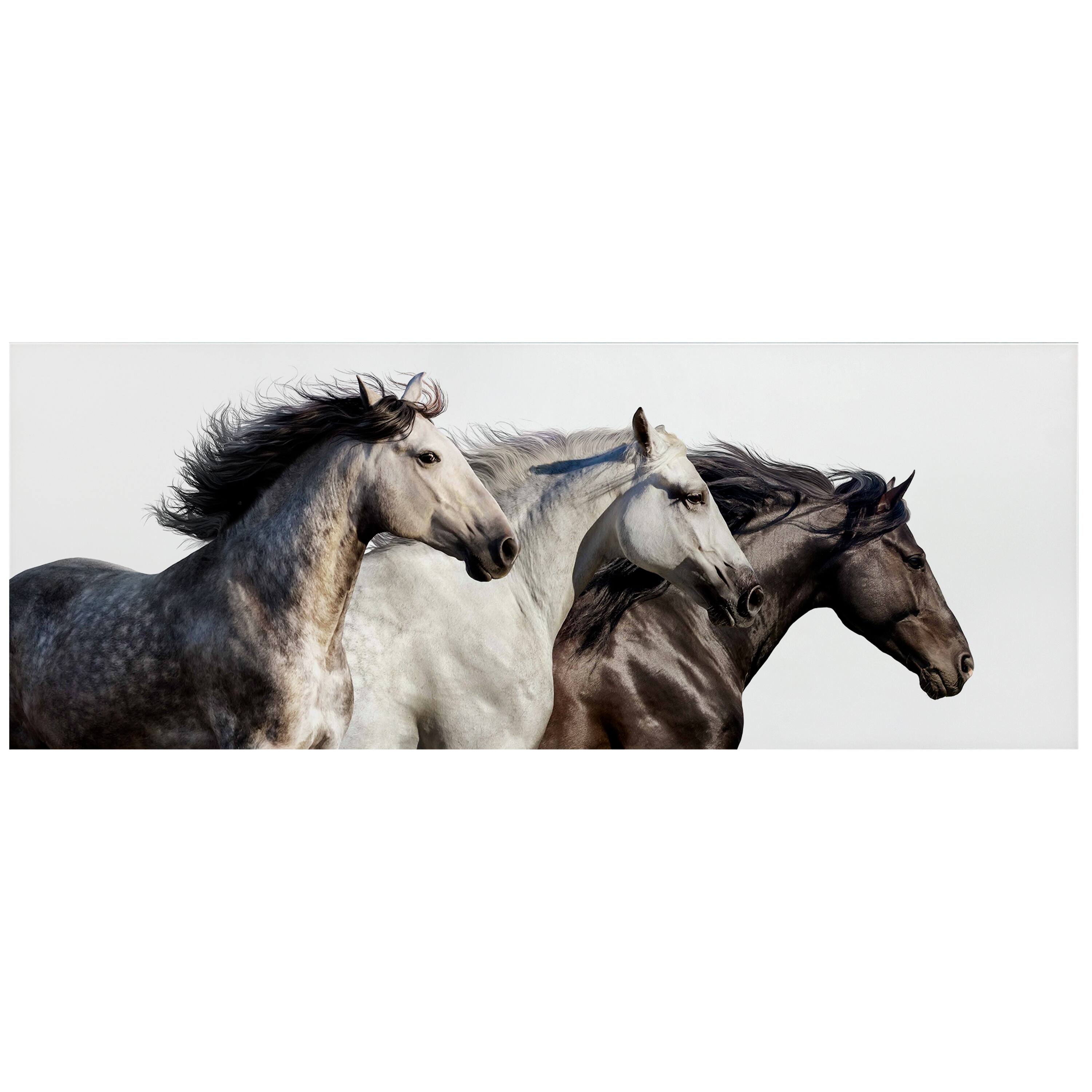 Empire Art Direct 63" x 24" Horse Trilogy 1 Frameless Free Floating Printed Tempered Glass Wall Art