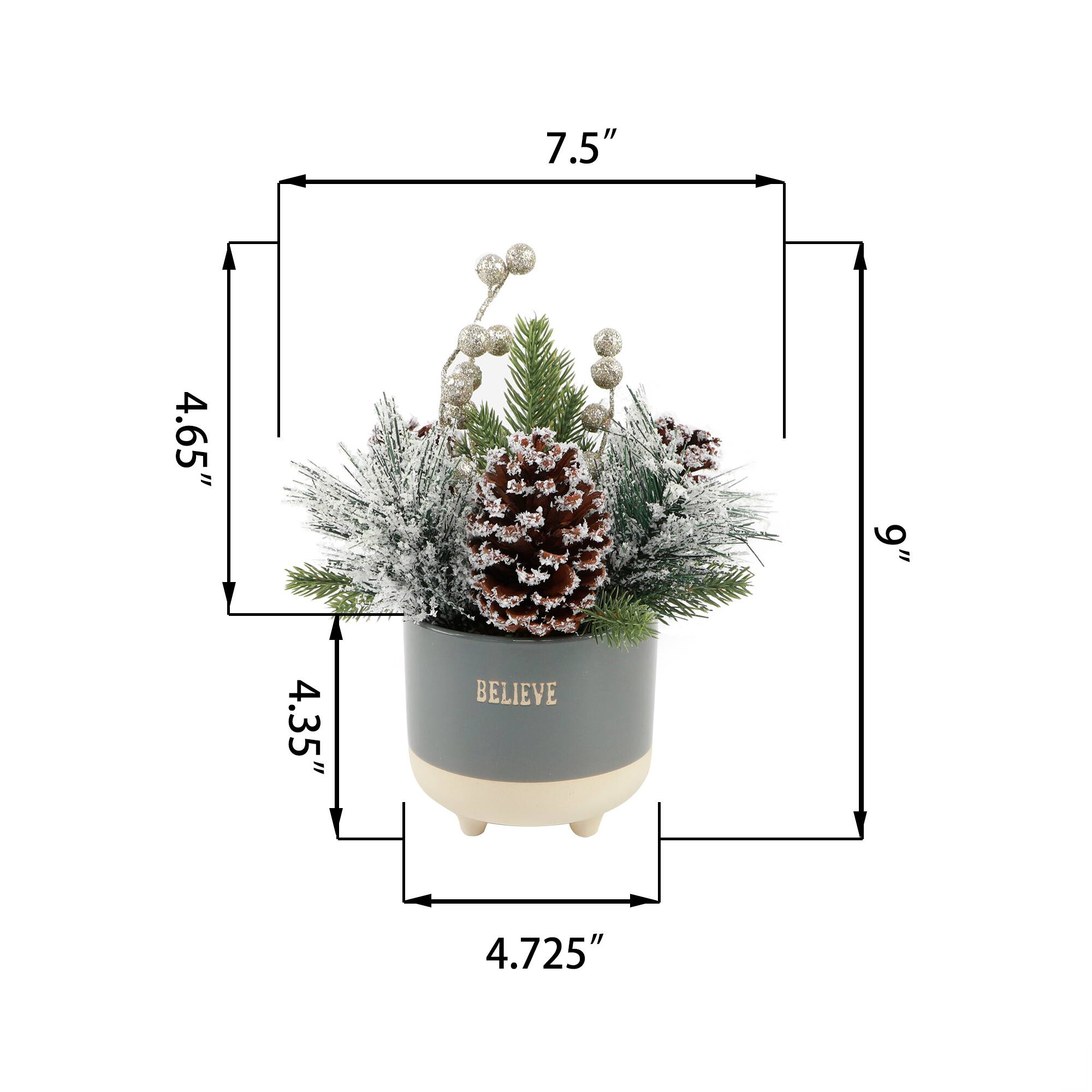 Christmas Mix In 9" Ceramic Believe Footed Pot