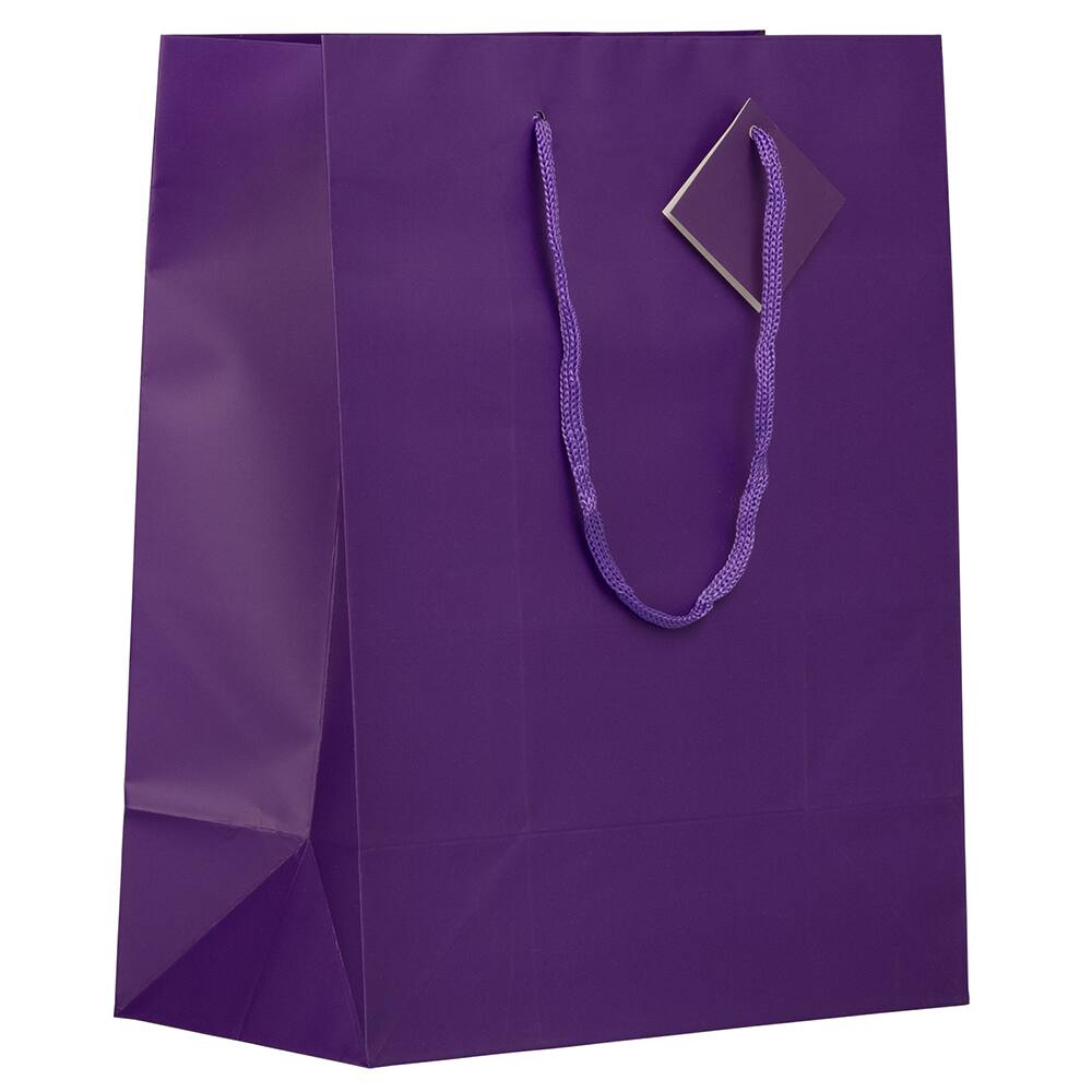 JAM Paper Large Matte Gift Bags