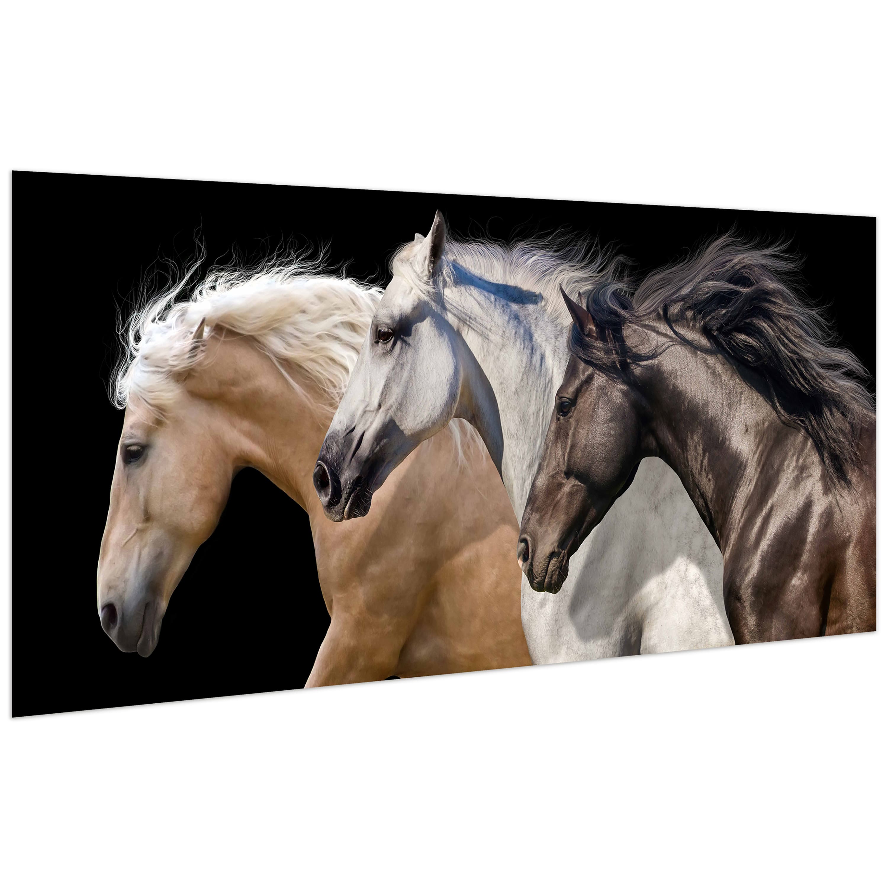 Empire Art Direct 24" x 63" Horse Trilogy 2 Frameless Free Floating Printed Tempered Glass Wall Art