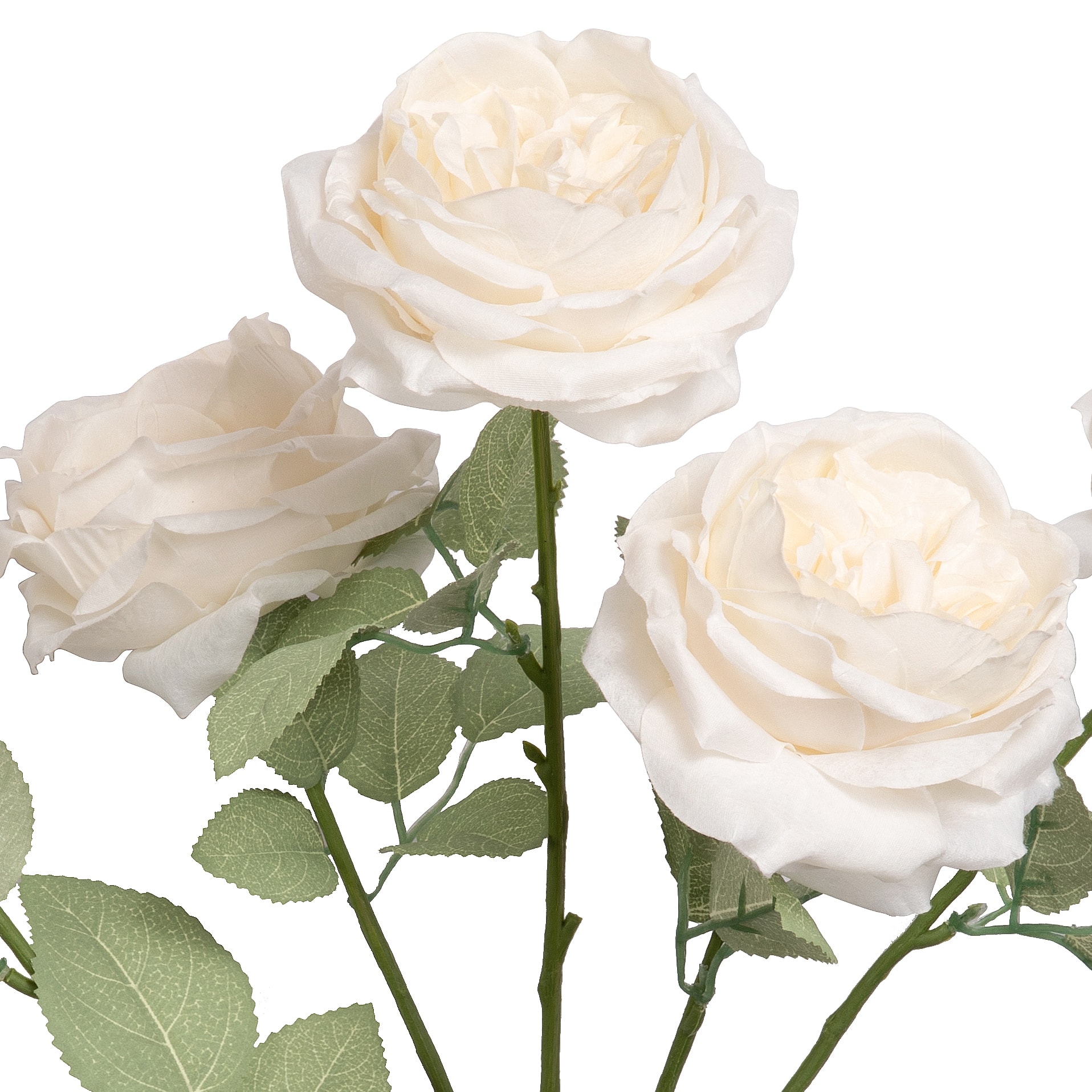 18.5" Cabbage Rose Deluxe Bush by Ashland