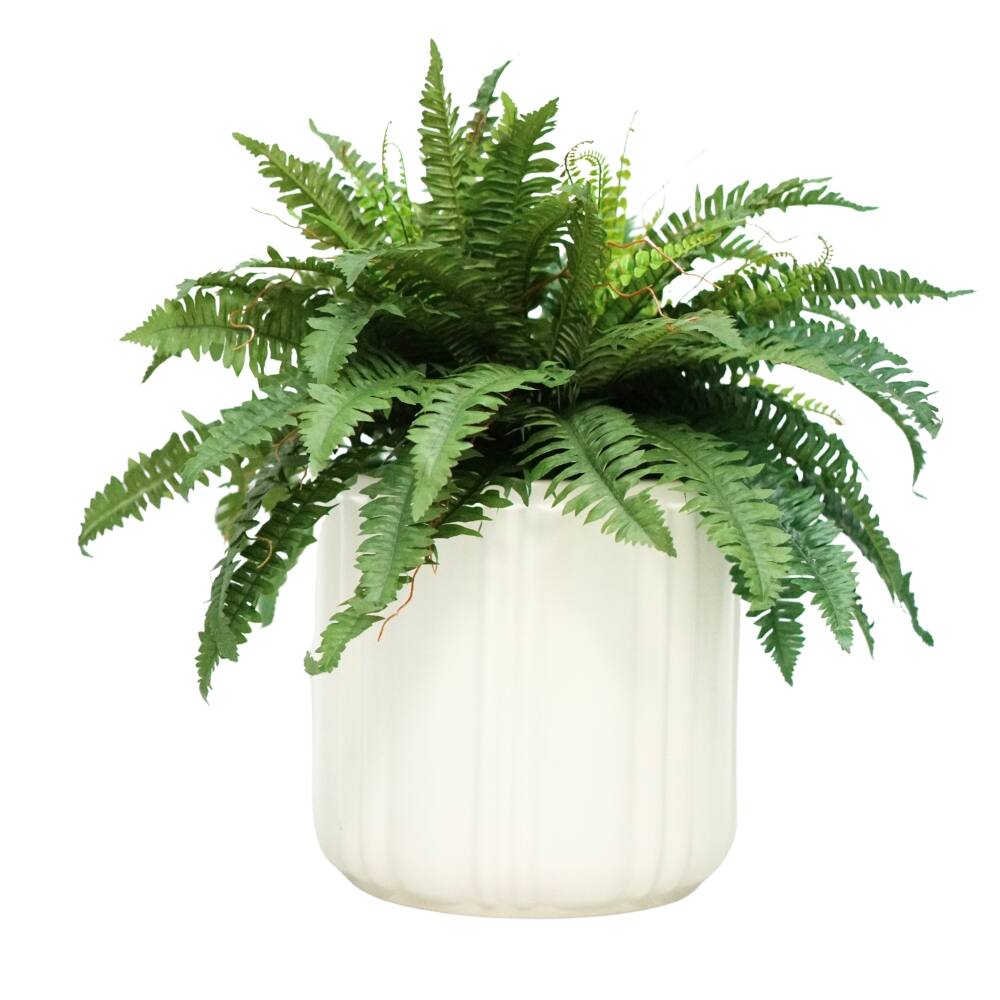 House of Silk Flowers 30" Faux Boston Fern in Matte White Paneled Ceramic