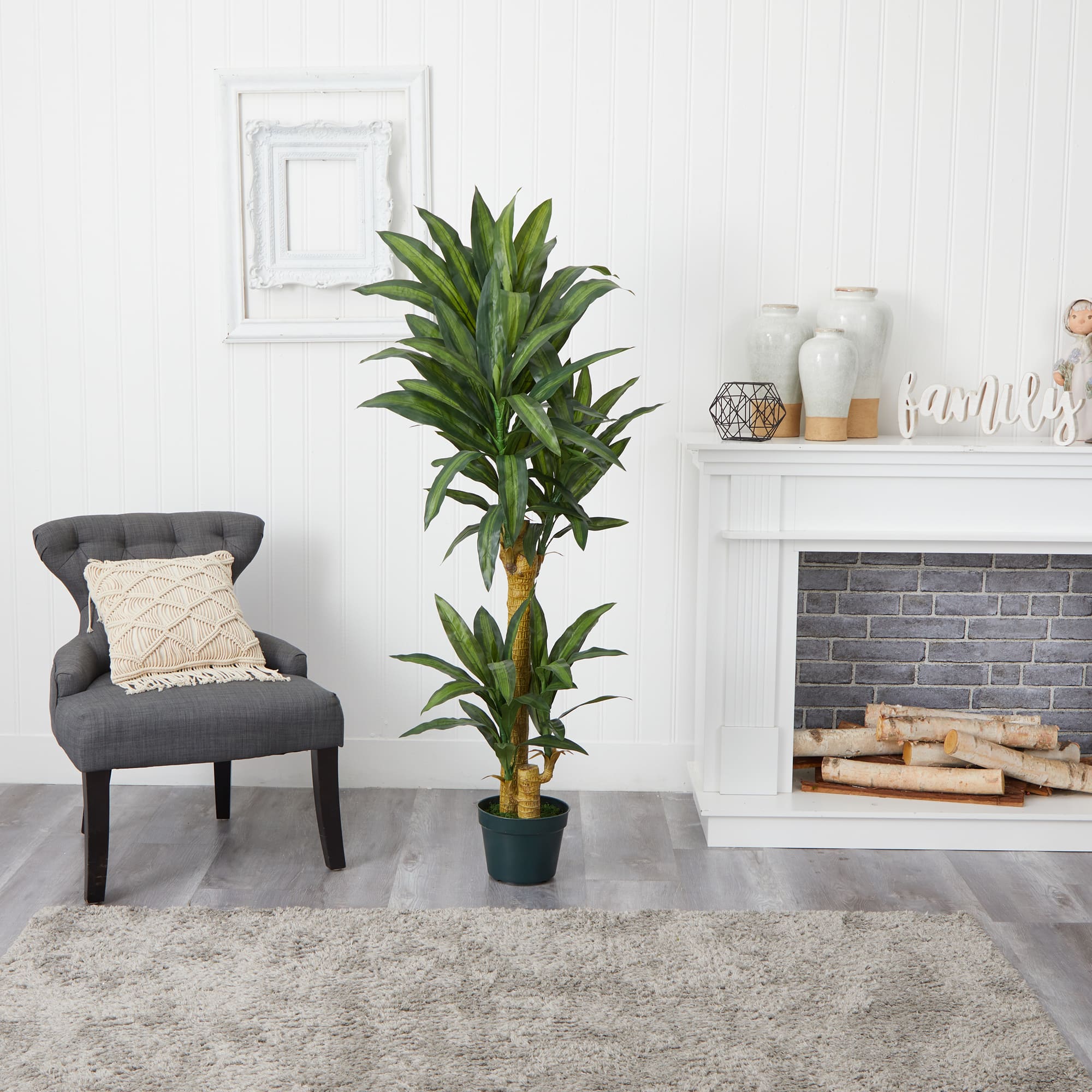 5ft. Potted Yucca Tree