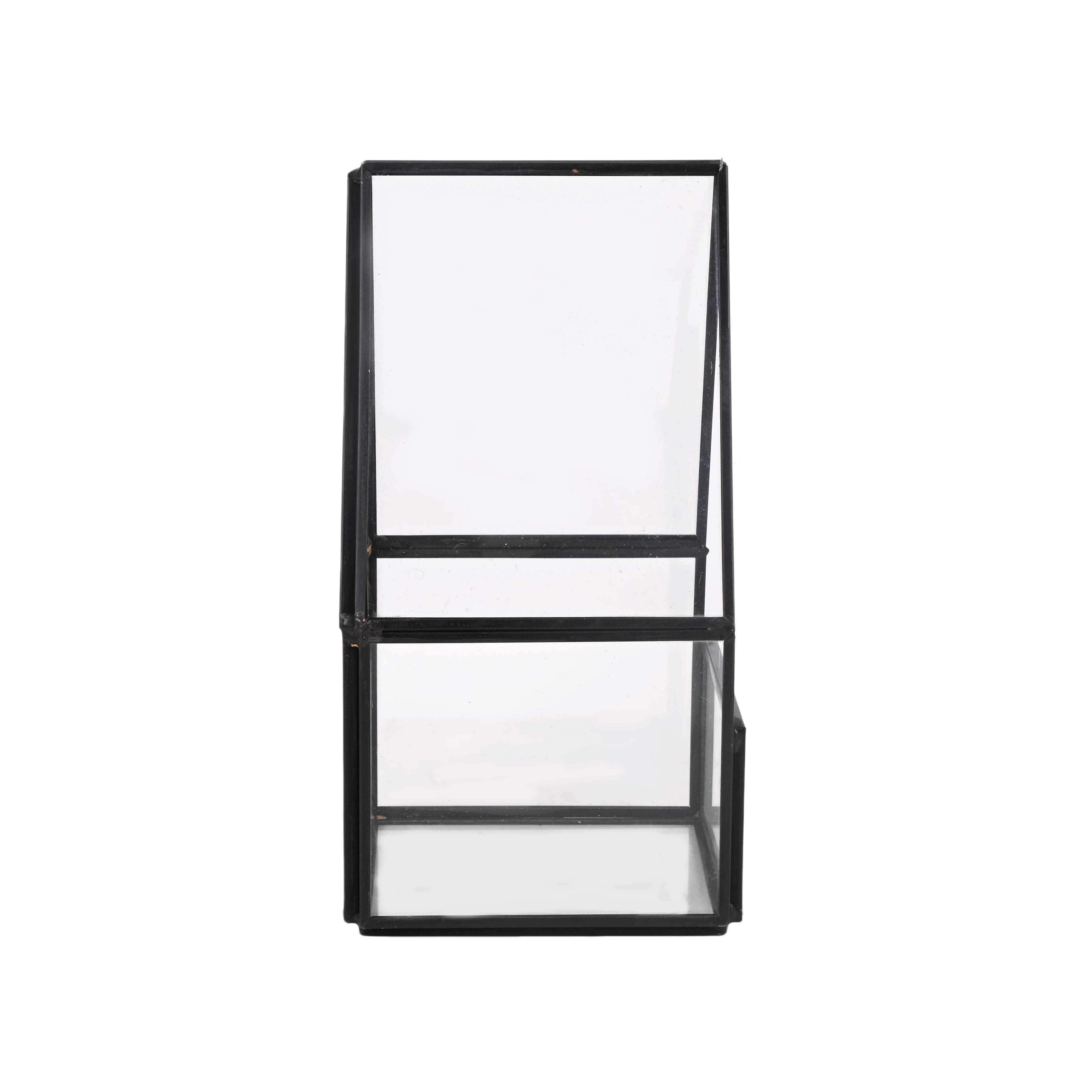 Glass Terrarium by Ashland®