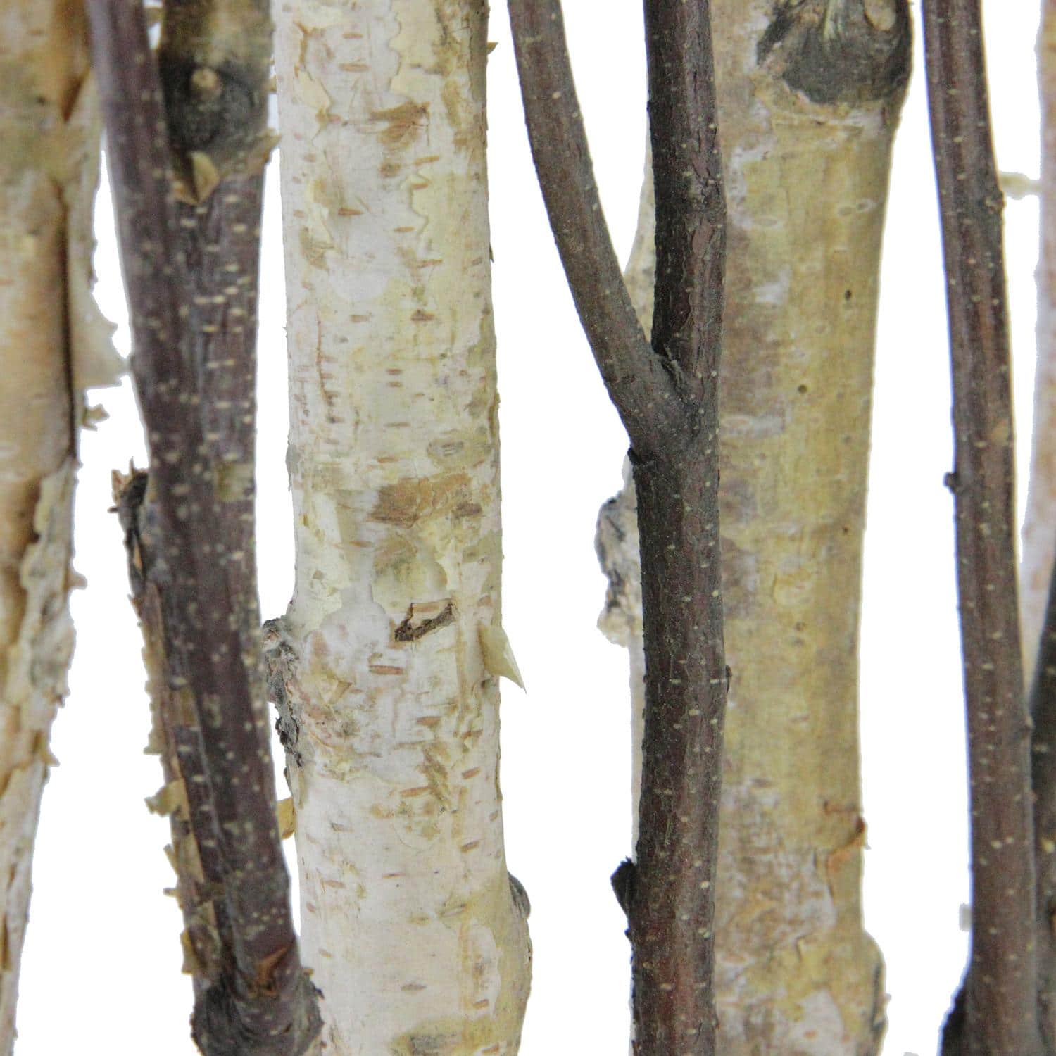 22.5" Mixed Branches in White Wood Frame