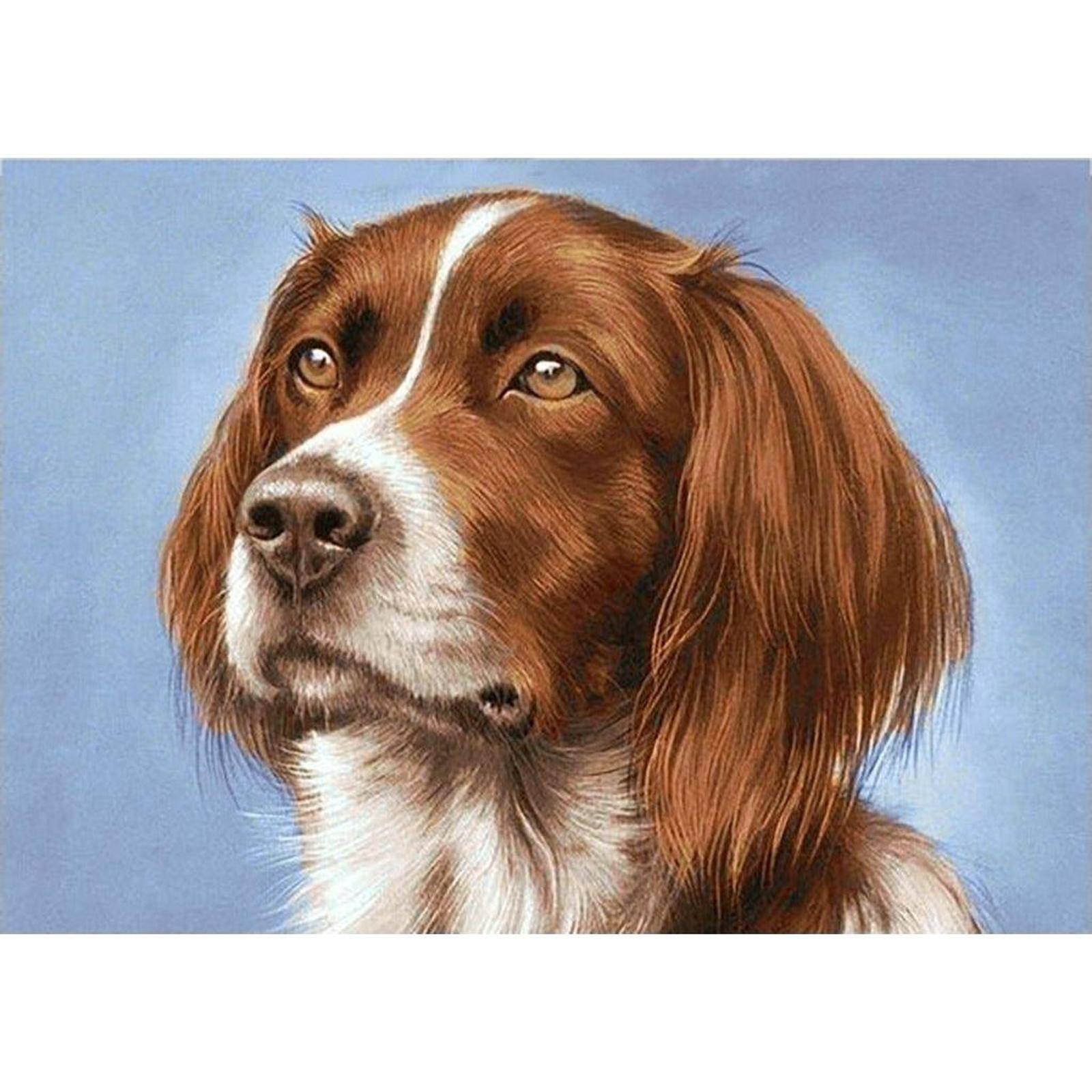 Wizardi Setter Diamond Painting Kit