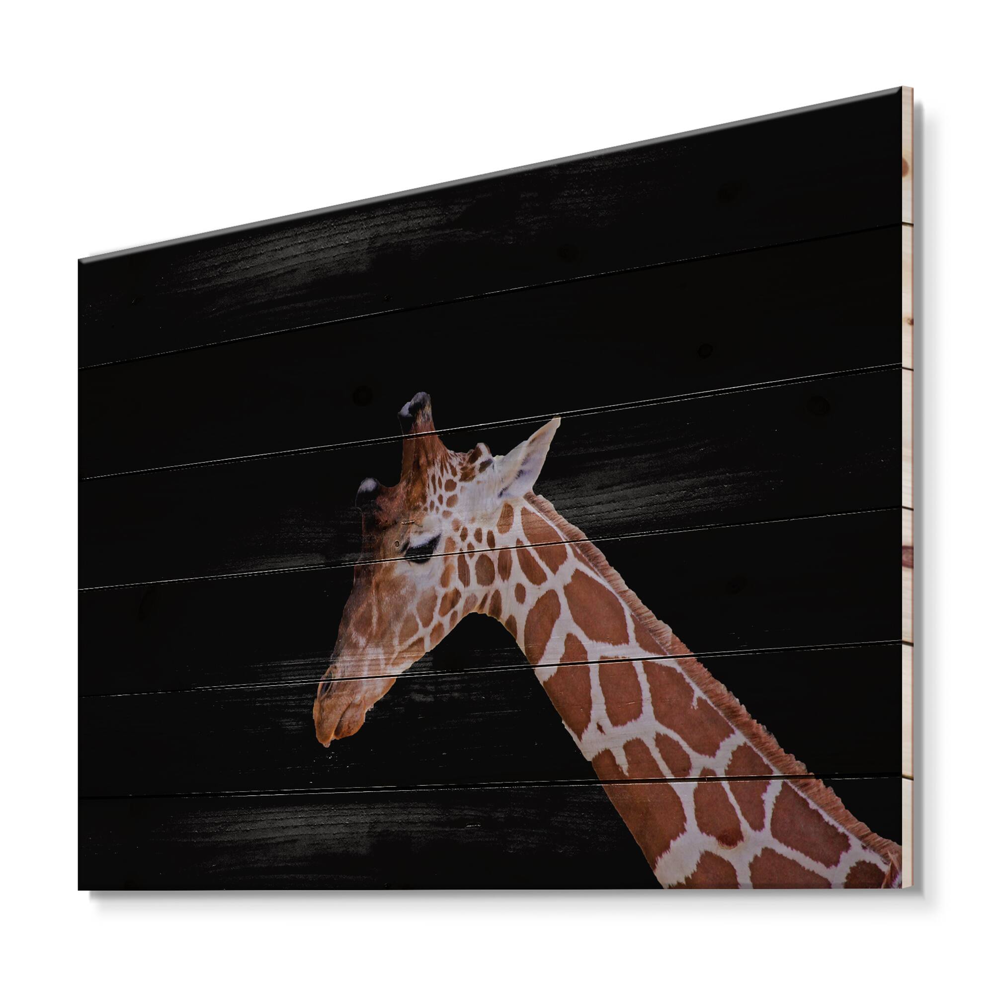 Designart - Portrait of A Giraffe V - Farmhouse Print on Natural Pine Wood