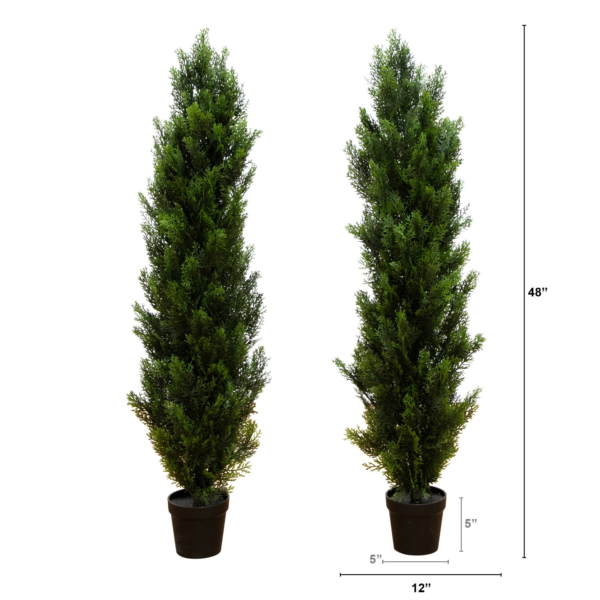 4ft. Potted UV Resistant Topiary Cedar Trees, 2ct.