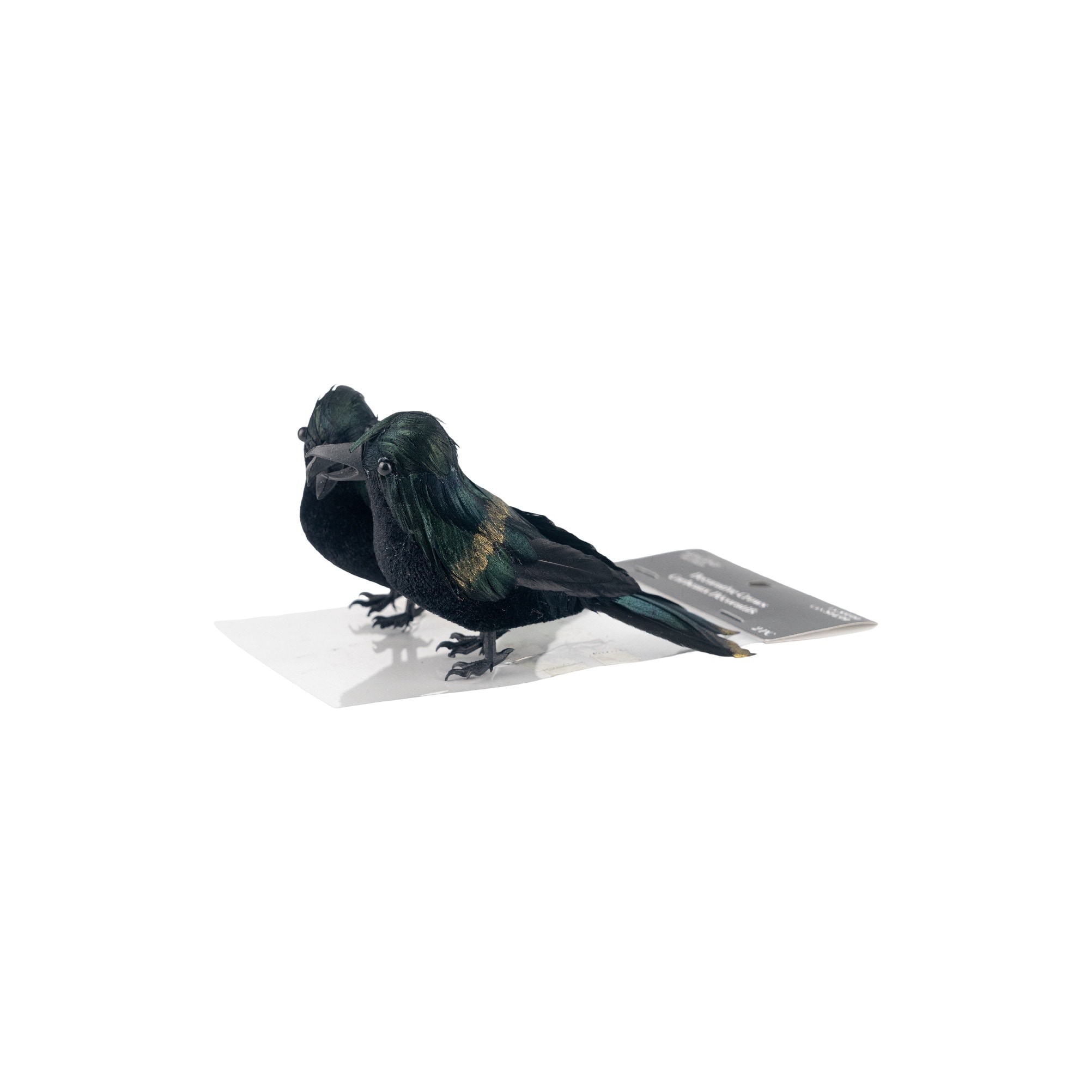 Iridescent Black Crows, 2ct. by Ashland®