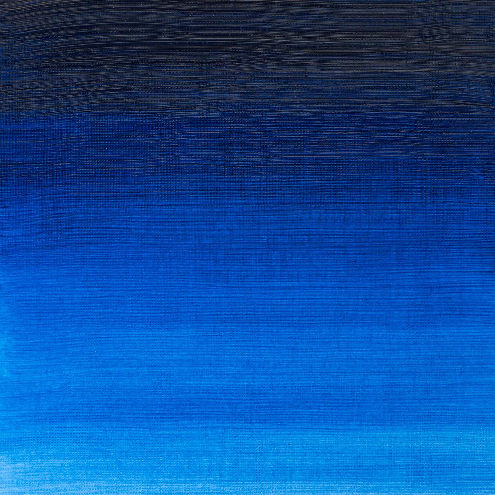 Winsor & Newton™ Winton 6.75oz. Oil Colour™ Paint