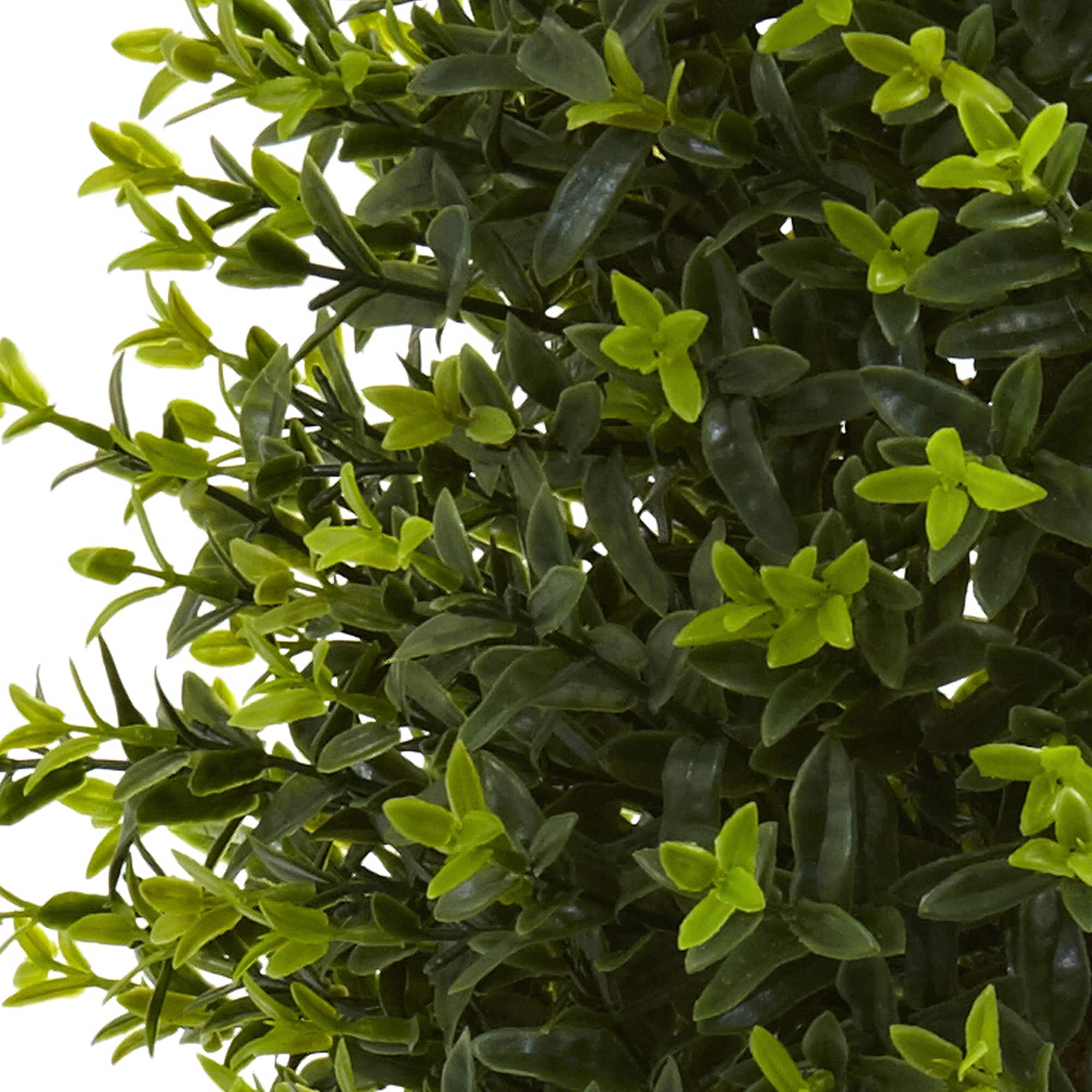 3ft. Potted Ixora Topiary