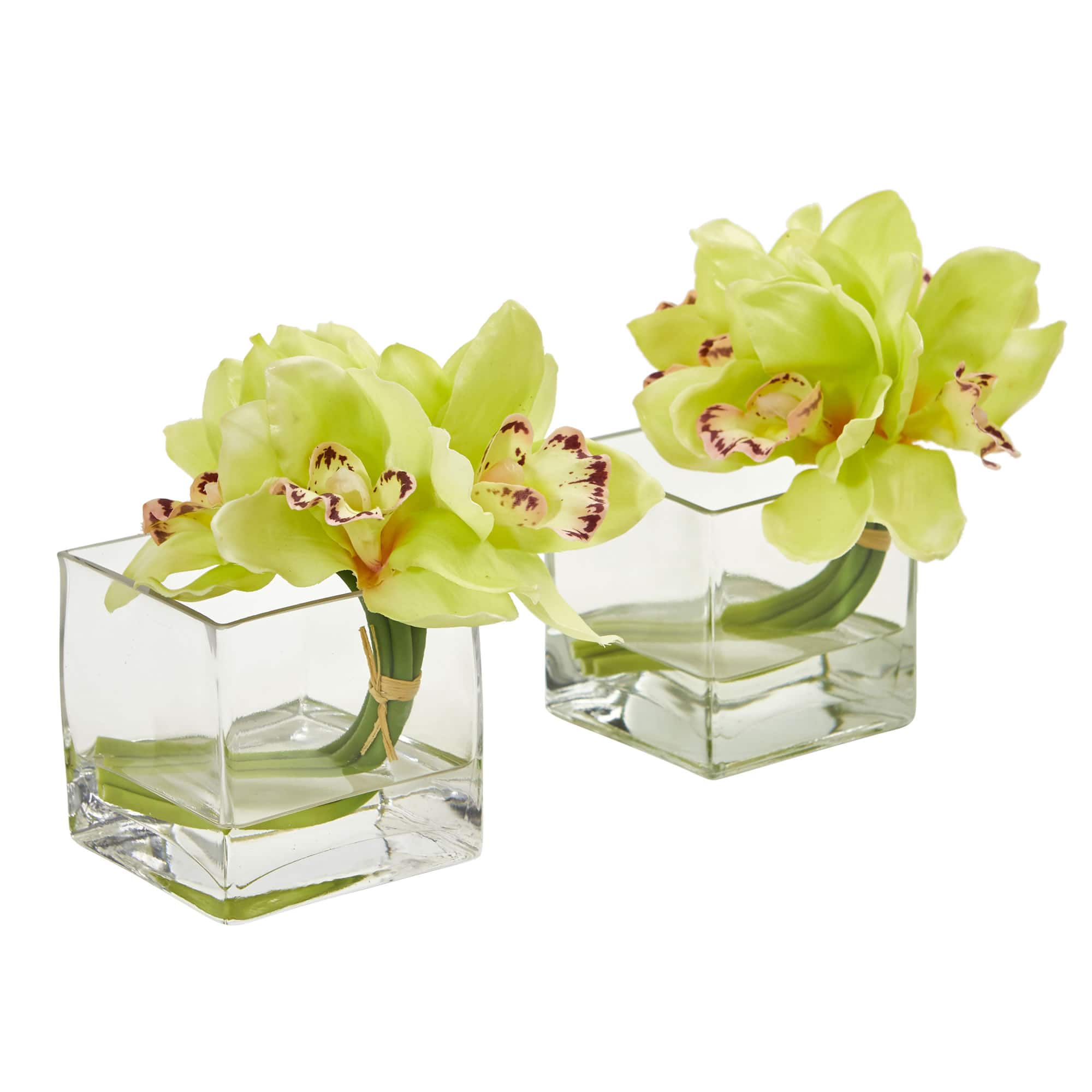 8" Boat Orchid Arrangement in Glass Vase