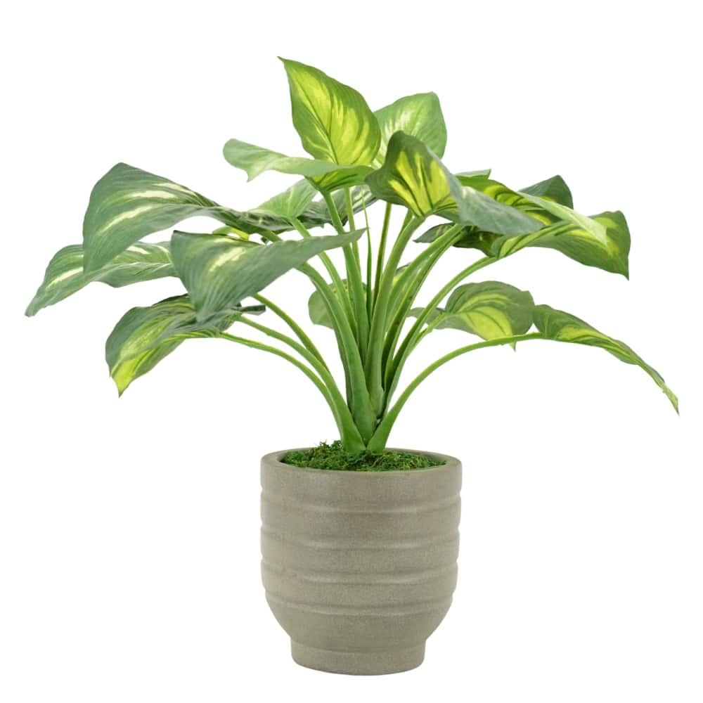 House of Silk Flowers 23" Small Faux Hosta in Classic Cement Gray Planter