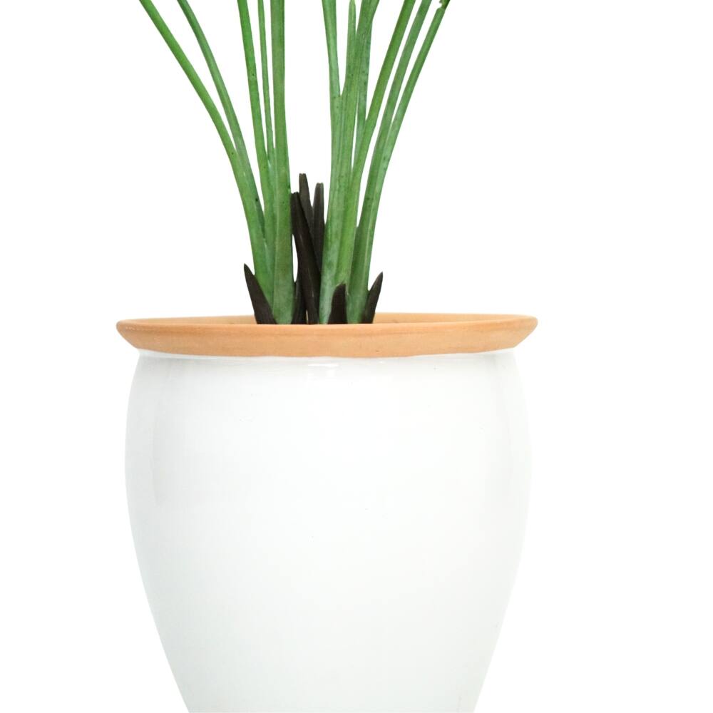 House of Silk Flowers 60" Faux Travelers Palm in Glossy White Ceramic