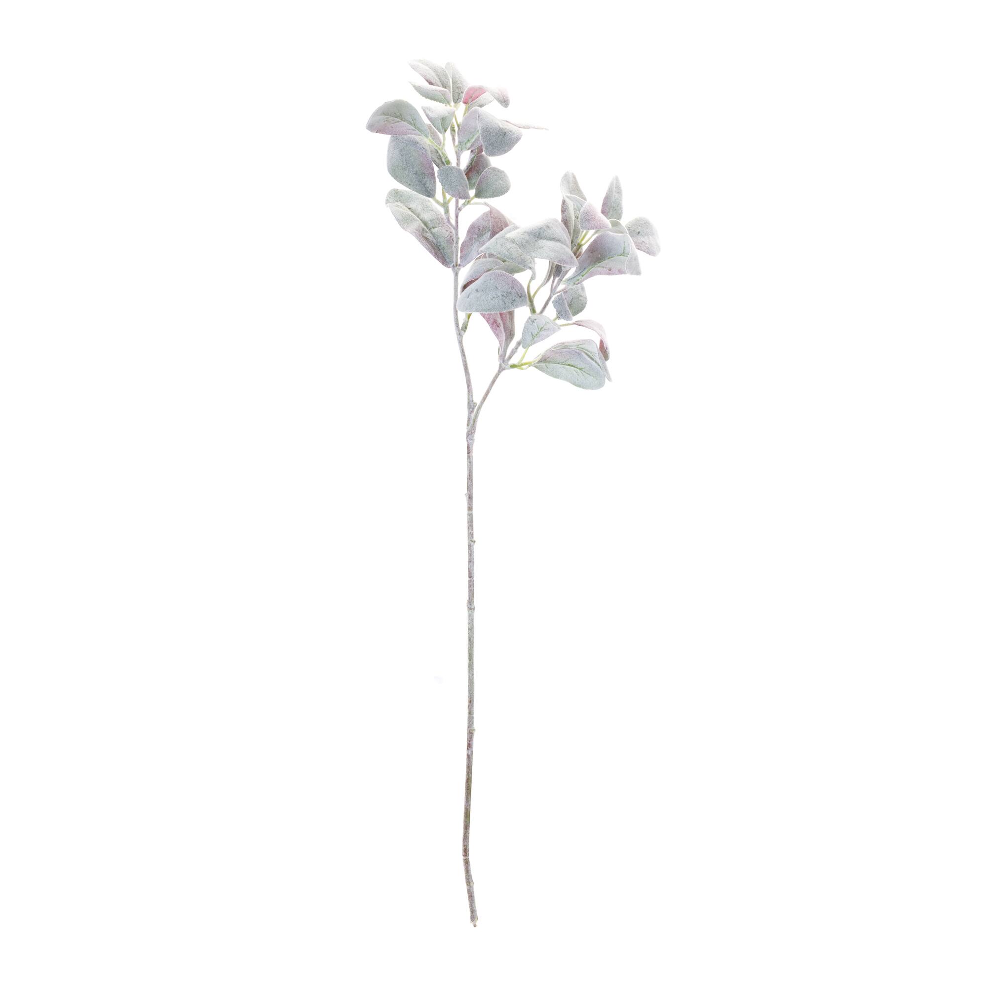 37.5" Lamb's Ear Leaf Bushes, 6ct.