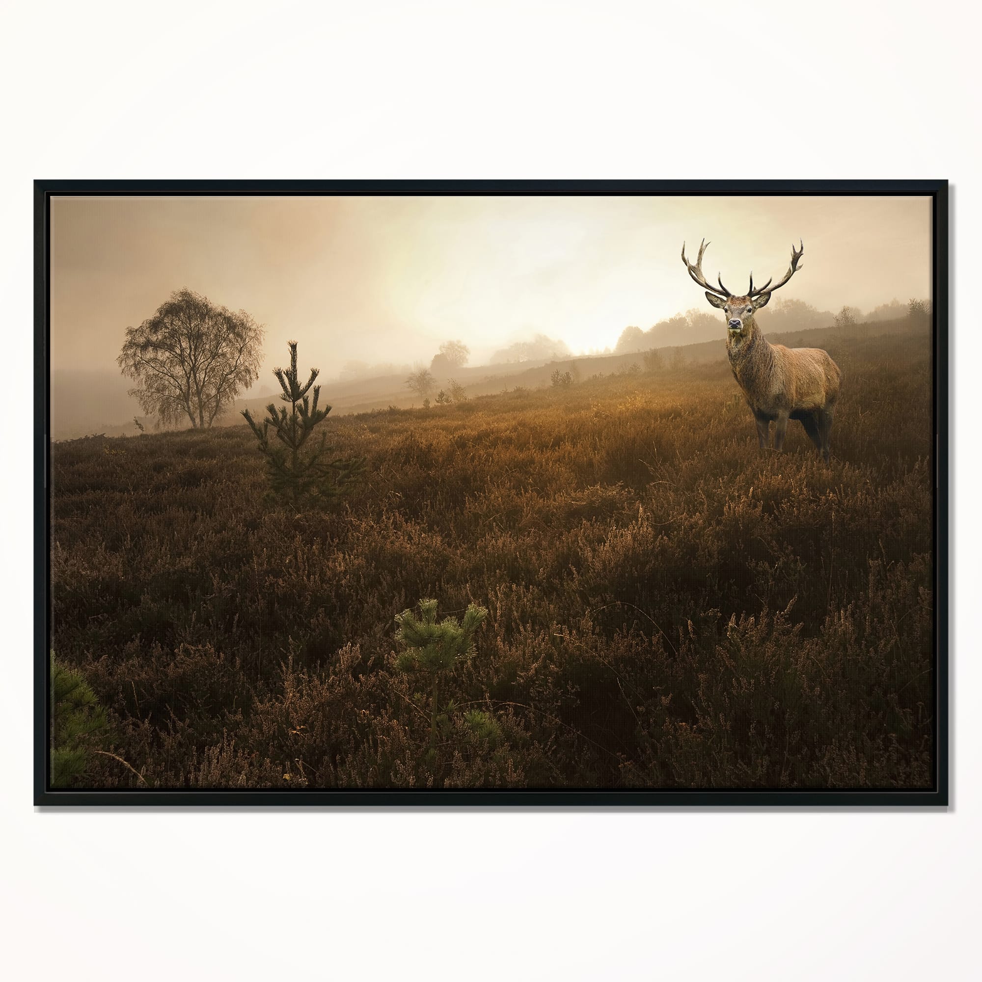 Designart - Mist Forest with Red Deer Stag - Landscape Photo Canvas Art Print in Black Frame