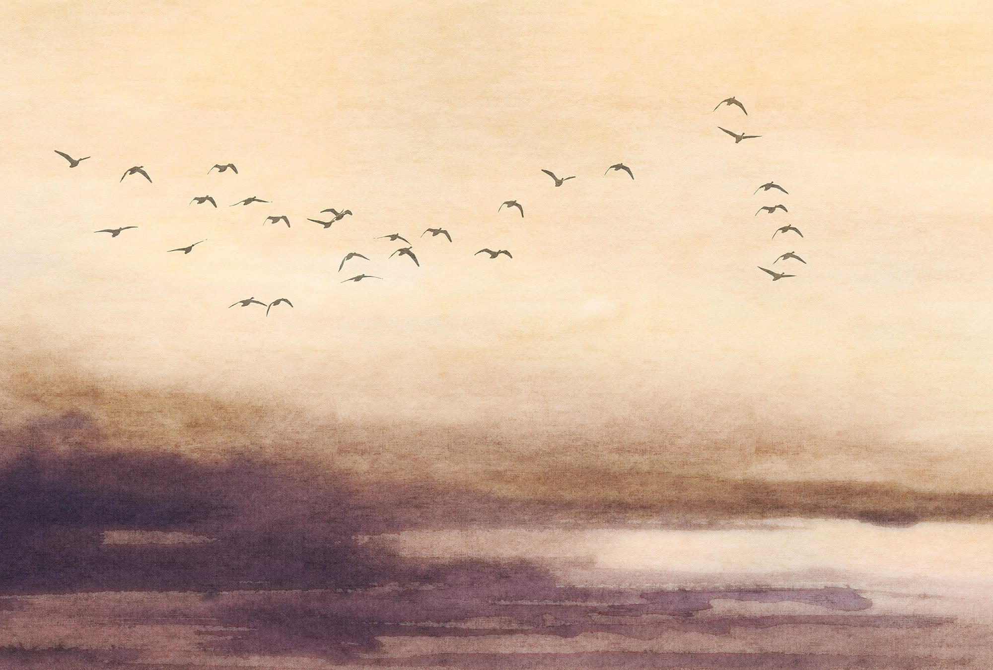 Designs Direct Silent Sky Beige Wall Mural