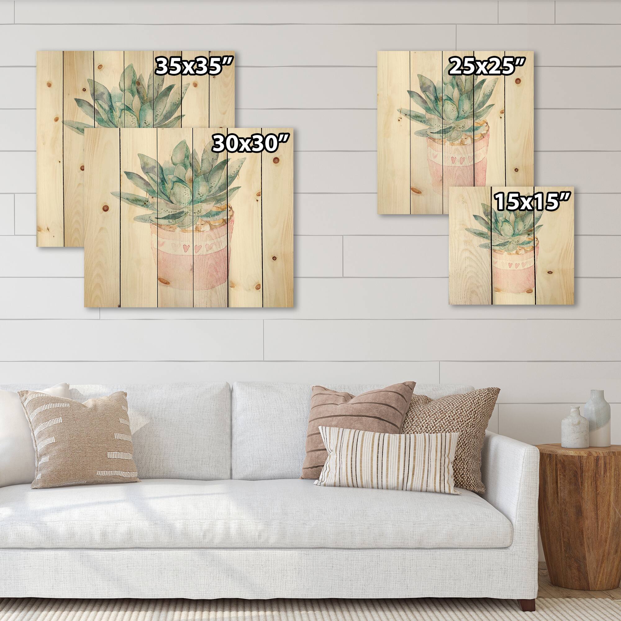 Designart - Cactus and Succulent House Plants II