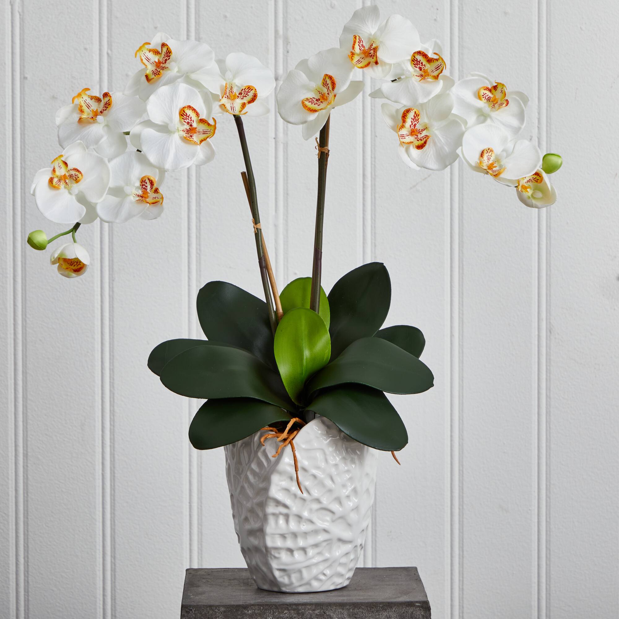 23" White Double Stem Orchid Arrangement in White Textured Vase
