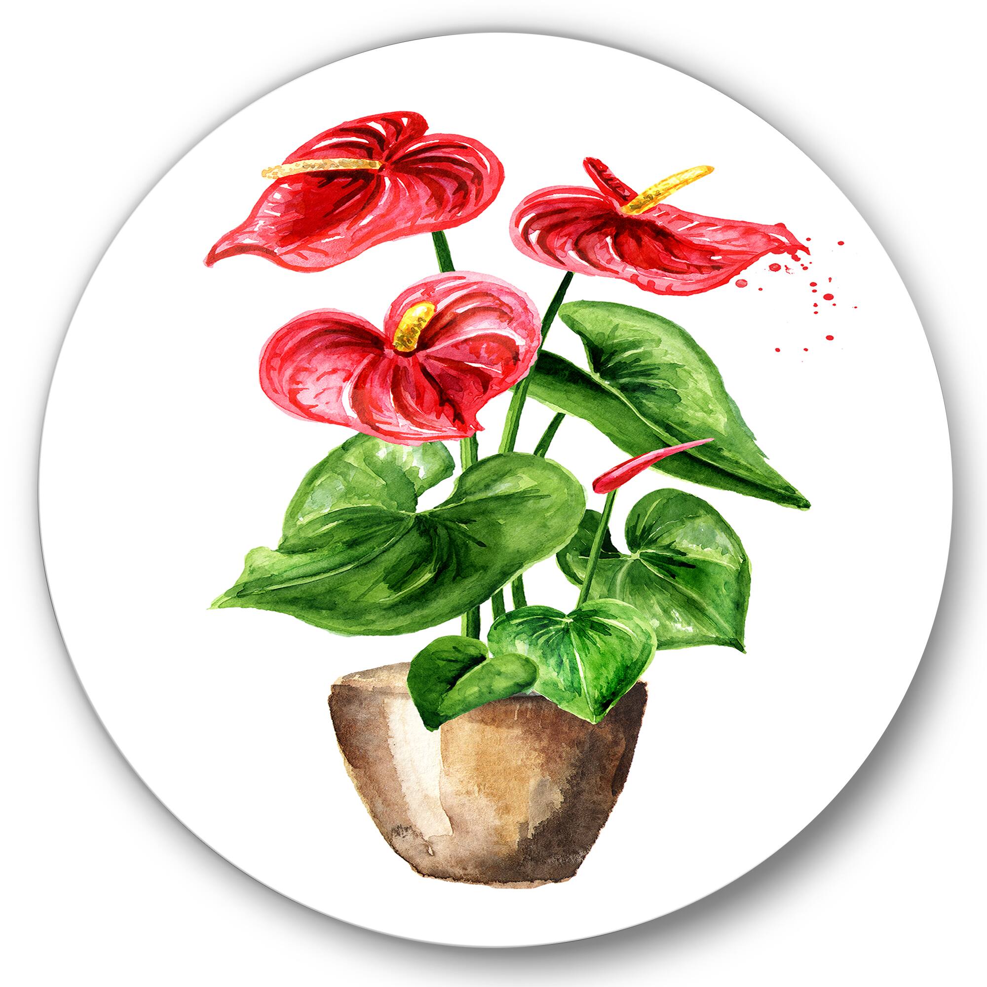 Designart - Anthurium Tailflower Or Flamingo Flower In The Pot